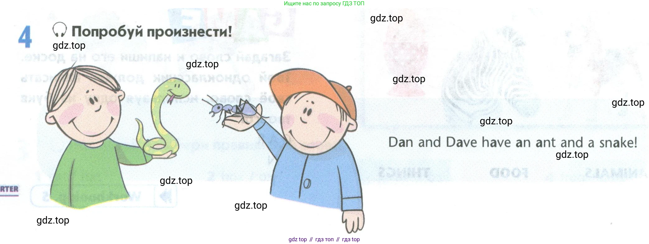 Английский язык (english), 5 класс Учебник (Student's book), авторы: Маневич Екатерина Гарьевна (Manevich Yekaterina), Полякова Анна Александровна (Polyakova Anna), Дули Дженни (Dooley Jenny), Эванс Вирджиния (Evans Virginia), издательство Просвещение, Москва, 2023, голубого цвета, страница 14, номер 4, Условие