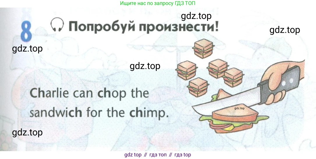 Английский язык (english), 5 класс Учебник (Student's book), авторы: Маневич Екатерина Гарьевна (Manevich Yekaterina), Полякова Анна Александровна (Polyakova Anna), Дули Дженни (Dooley Jenny), Эванс Вирджиния (Evans Virginia), издательство Просвещение, Москва, 2023, голубого цвета, страница 19, номер 8, Условие