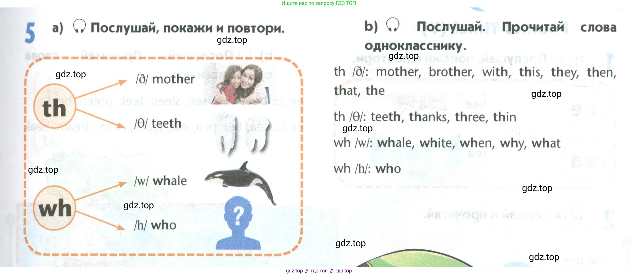 Английский язык (english), 5 класс Учебник (Student's book), авторы: Маневич Екатерина Гарьевна (Manevich Yekaterina), Полякова Анна Александровна (Polyakova Anna), Дули Дженни (Dooley Jenny), Эванс Вирджиния (Evans Virginia), издательство Просвещение, Москва, 2023, голубого цвета, страница 21, номер 5, Условие