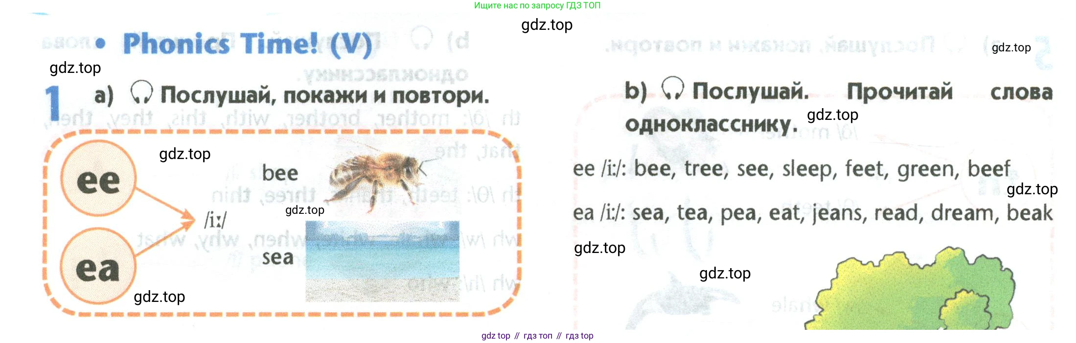 Английский язык (english), 5 класс Учебник (Student's book), авторы: Маневич Екатерина Гарьевна (Manevich Yekaterina), Полякова Анна Александровна (Polyakova Anna), Дули Дженни (Dooley Jenny), Эванс Вирджиния (Evans Virginia), издательство Просвещение, Москва, 2023, голубого цвета, страница 22, номер 1, Условие