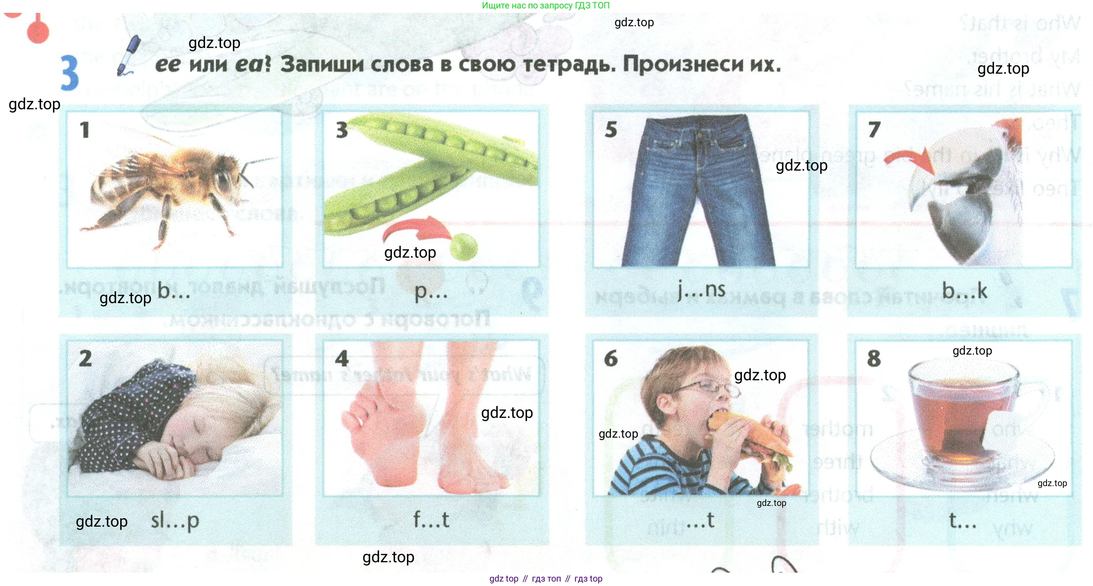 Английский язык (english), 5 класс Учебник (Student's book), авторы: Маневич Екатерина Гарьевна (Manevich Yekaterina), Полякова Анна Александровна (Polyakova Anna), Дули Дженни (Dooley Jenny), Эванс Вирджиния (Evans Virginia), издательство Просвещение, Москва, 2023, голубого цвета, страница 22, номер 3, Условие
