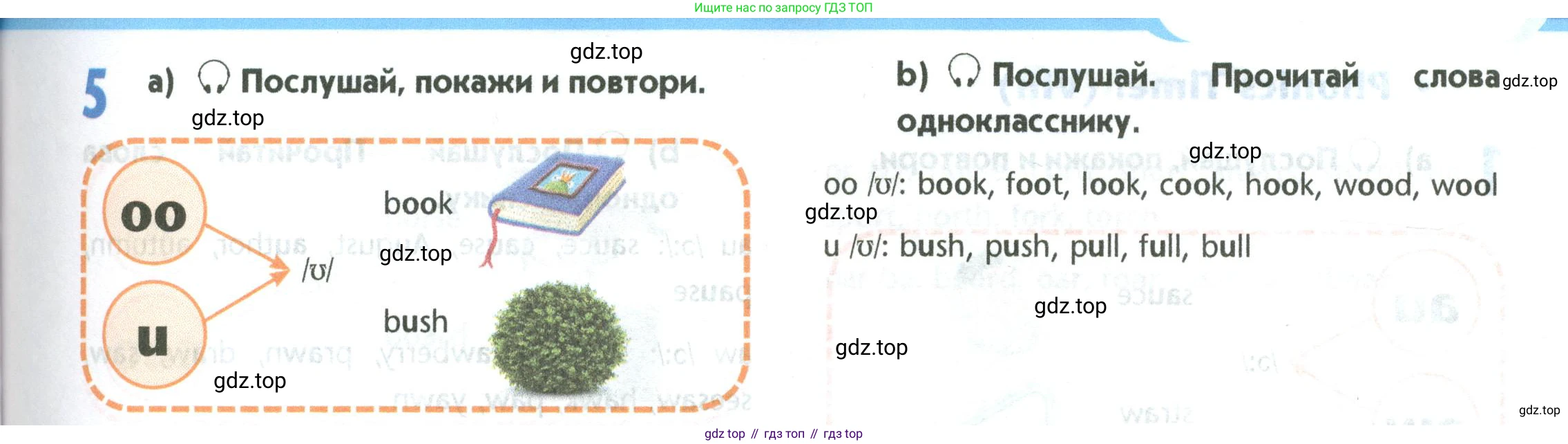 Английский язык (english), 5 класс Учебник (Student's book), авторы: Маневич Екатерина Гарьевна (Manevich Yekaterina), Полякова Анна Александровна (Polyakova Anna), Дули Дженни (Dooley Jenny), Эванс Вирджиния (Evans Virginia), издательство Просвещение, Москва, 2023, голубого цвета, страница 27, номер 5, Условие