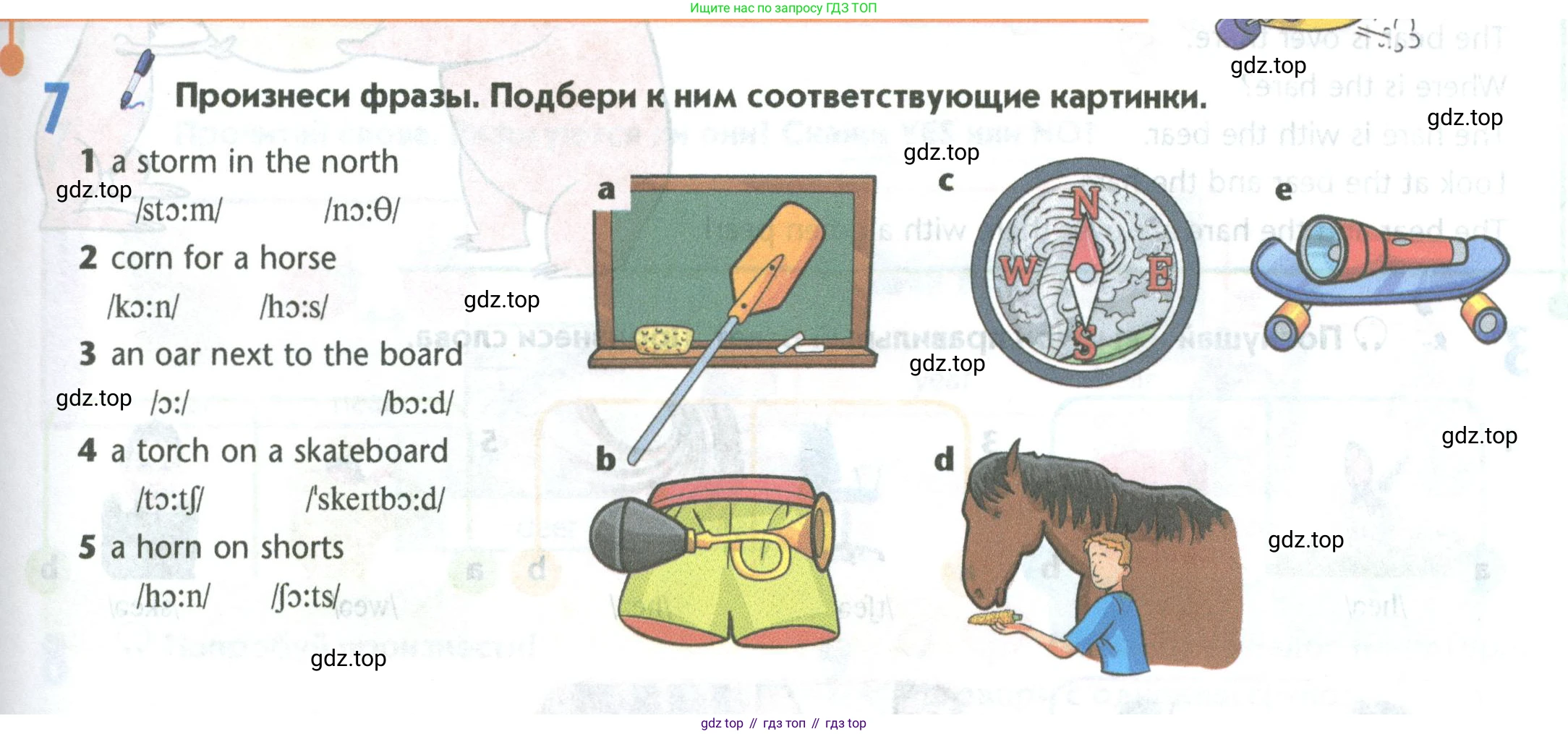 Английский язык (english), 5 класс Учебник (Student's book), авторы: Маневич Екатерина Гарьевна (Manevich Yekaterina), Полякова Анна Александровна (Polyakova Anna), Дули Дженни (Dooley Jenny), Эванс Вирджиния (Evans Virginia), издательство Просвещение, Москва, 2023, голубого цвета, страница 29, номер 7, Условие