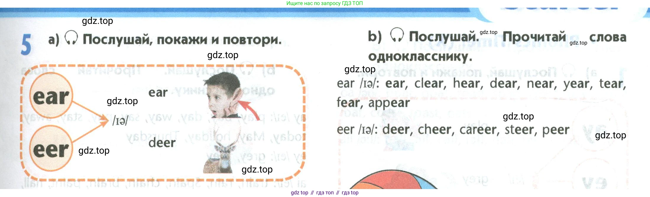 Английский язык (english), 5 класс Учебник (Student's book), авторы: Маневич Екатерина Гарьевна (Manevich Yekaterina), Полякова Анна Александровна (Polyakova Anna), Дули Дженни (Dooley Jenny), Эванс Вирджиния (Evans Virginia), издательство Просвещение, Москва, 2023, голубого цвета, страница 31, номер 5, Условие