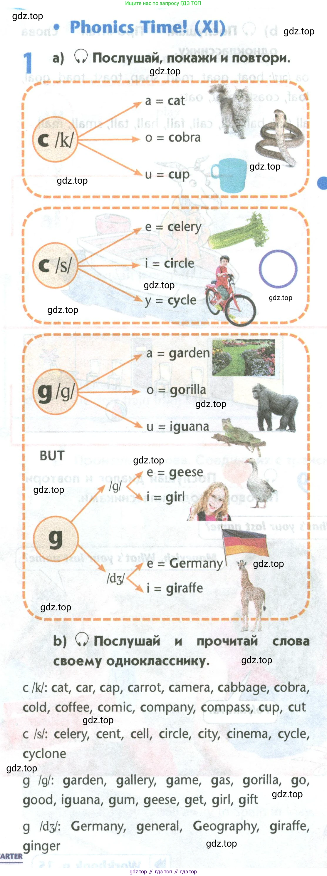Английский язык (english), 5 класс Учебник (Student's book), авторы: Маневич Екатерина Гарьевна (Manevich Yekaterina), Полякова Анна Александровна (Polyakova Anna), Дули Дженни (Dooley Jenny), Эванс Вирджиния (Evans Virginia), издательство Просвещение, Москва, 2023, голубого цвета, страница 34, номер 1, Условие