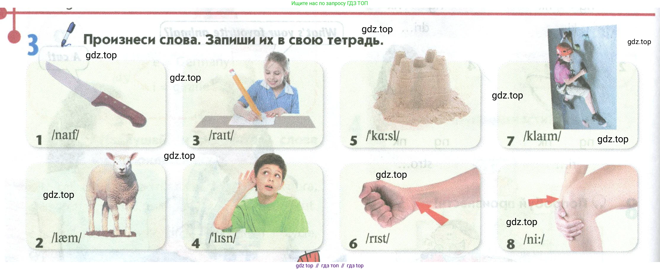 Английский язык (english), 5 класс Учебник (Student's book), авторы: Маневич Екатерина Гарьевна (Manevich Yekaterina), Полякова Анна Александровна (Polyakova Anna), Дули Дженни (Dooley Jenny), Эванс Вирджиния (Evans Virginia), издательство Просвещение, Москва, 2023, голубого цвета, страница 36, номер 3, Условие