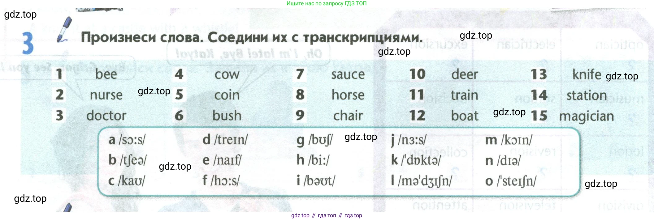 Английский язык (english), 5 класс Учебник (Student's book), авторы: Маневич Екатерина Гарьевна (Manevich Yekaterina), Полякова Анна Александровна (Polyakova Anna), Дули Дженни (Dooley Jenny), Эванс Вирджиния (Evans Virginia), издательство Просвещение, Москва, 2023, голубого цвета, страница 38, номер 3, Условие