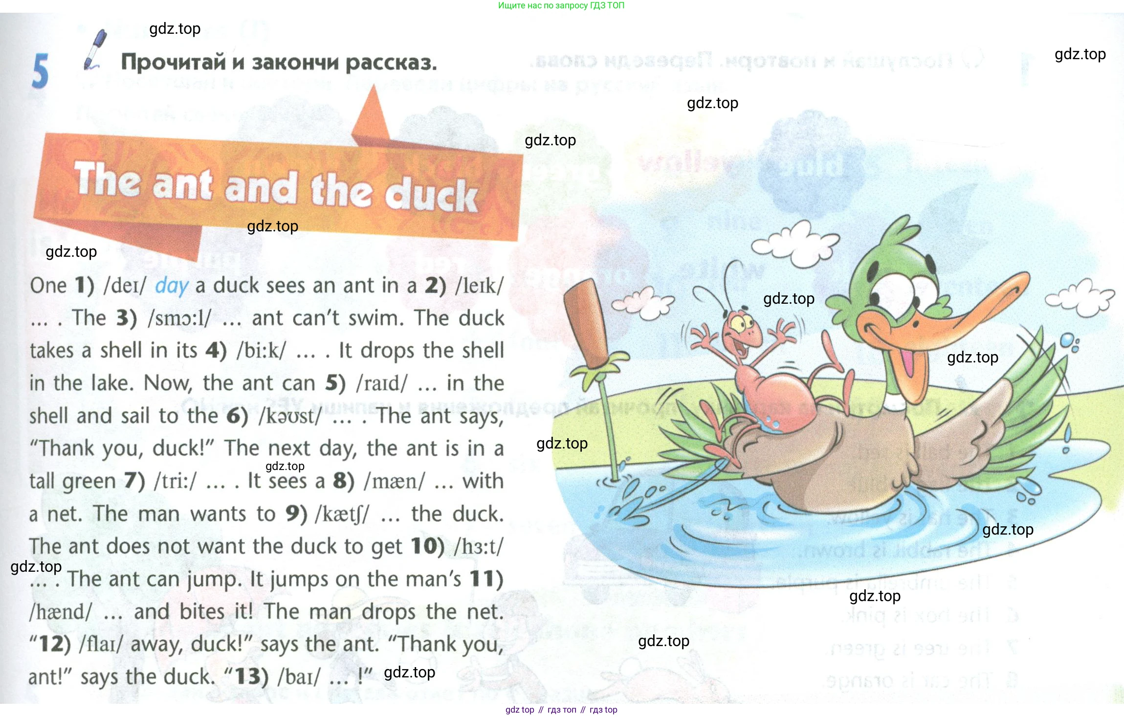 Английский язык (english), 5 класс Учебник (Student's book), авторы: Маневич Екатерина Гарьевна (Manevich Yekaterina), Полякова Анна Александровна (Polyakova Anna), Дули Дженни (Dooley Jenny), Эванс Вирджиния (Evans Virginia), издательство Просвещение, Москва, 2023, голубого цвета, страница 39, номер 5, Условие
