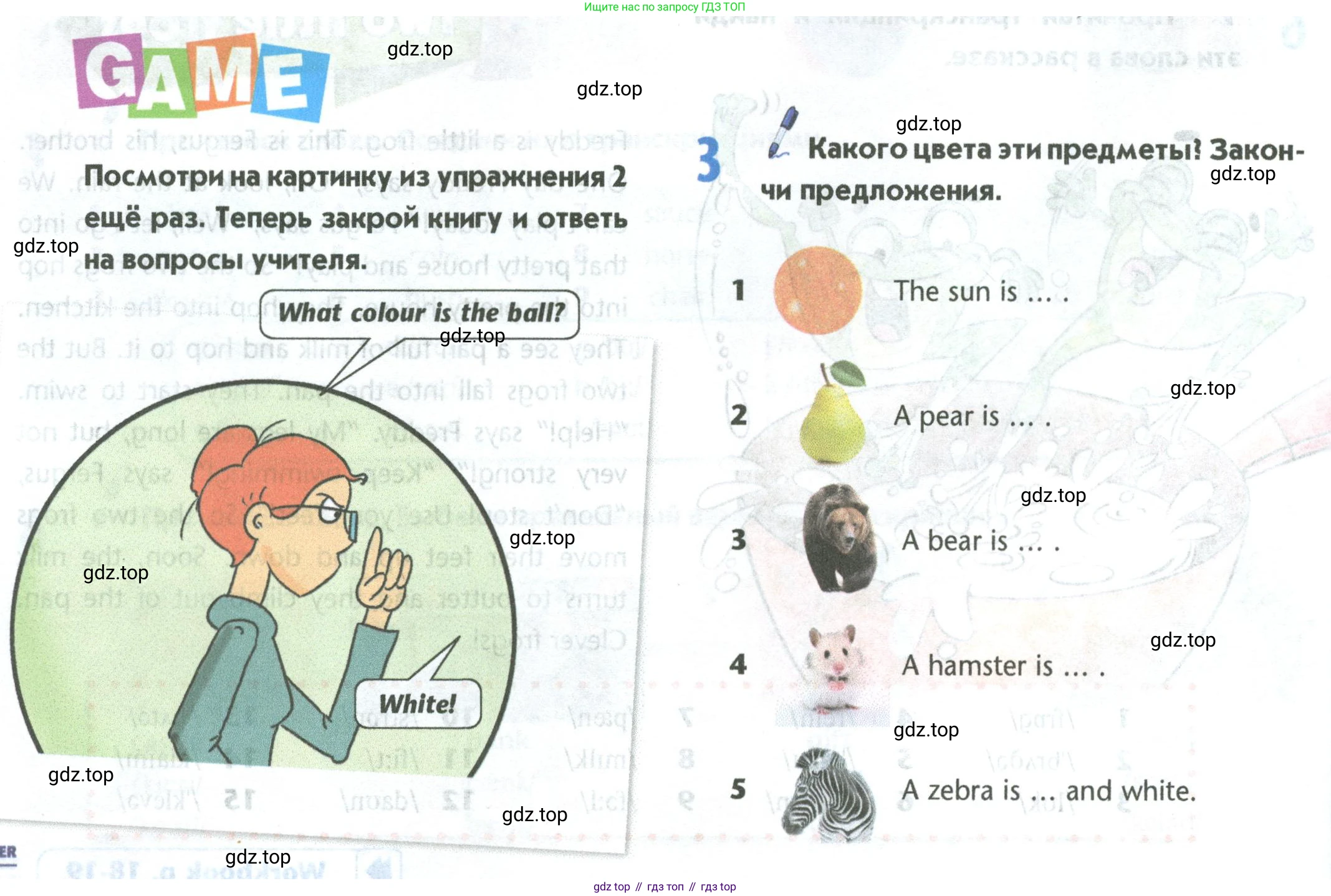 Английский язык (english), 5 класс Учебник (Student's book), авторы: Маневич Екатерина Гарьевна (Manevich Yekaterina), Полякова Анна Александровна (Polyakova Anna), Дули Дженни (Dooley Jenny), Эванс Вирджиния (Evans Virginia), издательство Просвещение, Москва, 2023, голубого цвета, страница 40, номер 3, Условие