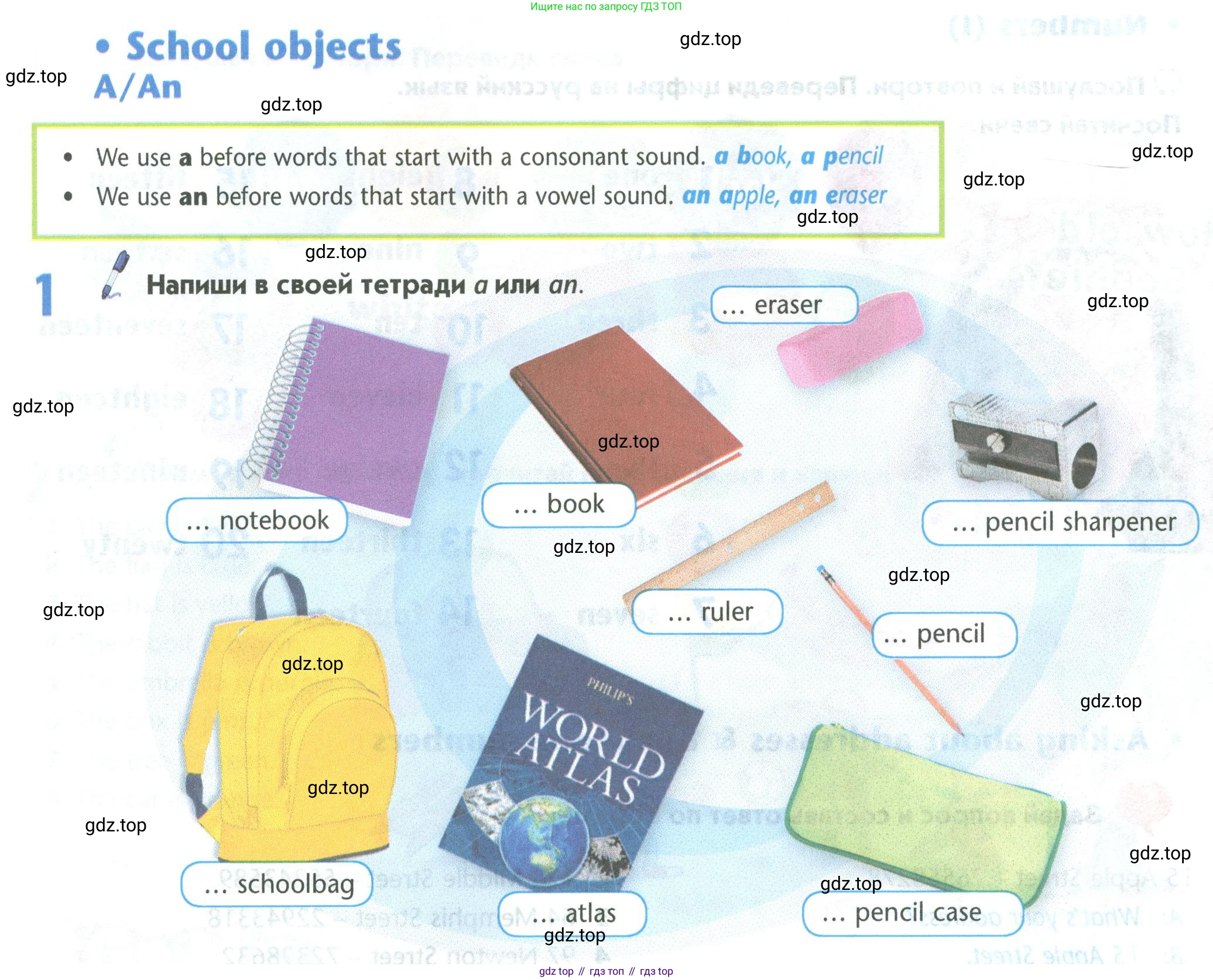 Английский язык (english), 5 класс Учебник (Student's book), авторы: Маневич Екатерина Гарьевна (Manevich Yekaterina), Полякова Анна Александровна (Polyakova Anna), Дули Дженни (Dooley Jenny), Эванс Вирджиния (Evans Virginia), издательство Просвещение, Москва, 2023, голубого цвета, страница 42, номер 1, Условие
