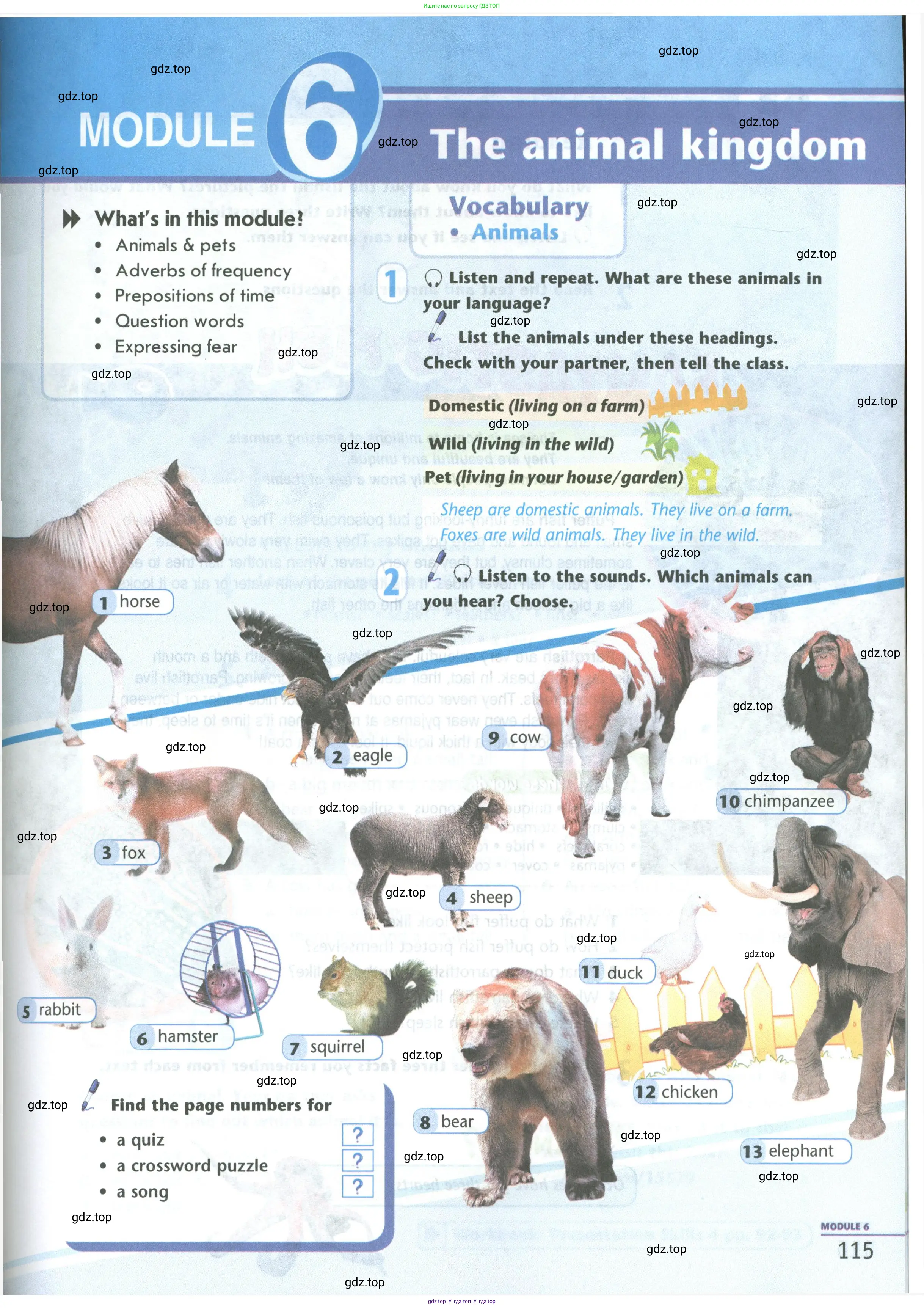 Английский язык (english), 5 класс Учебник (Student's book), авторы: Маневич Екатерина Гарьевна (Manevich Yekaterina), Полякова Анна Александровна (Polyakova Anna), Дули Дженни (Dooley Jenny), Эванс Вирджиния (Evans Virginia), издательство Просвещение, Москва, 2023, голубого цвета, страница 115