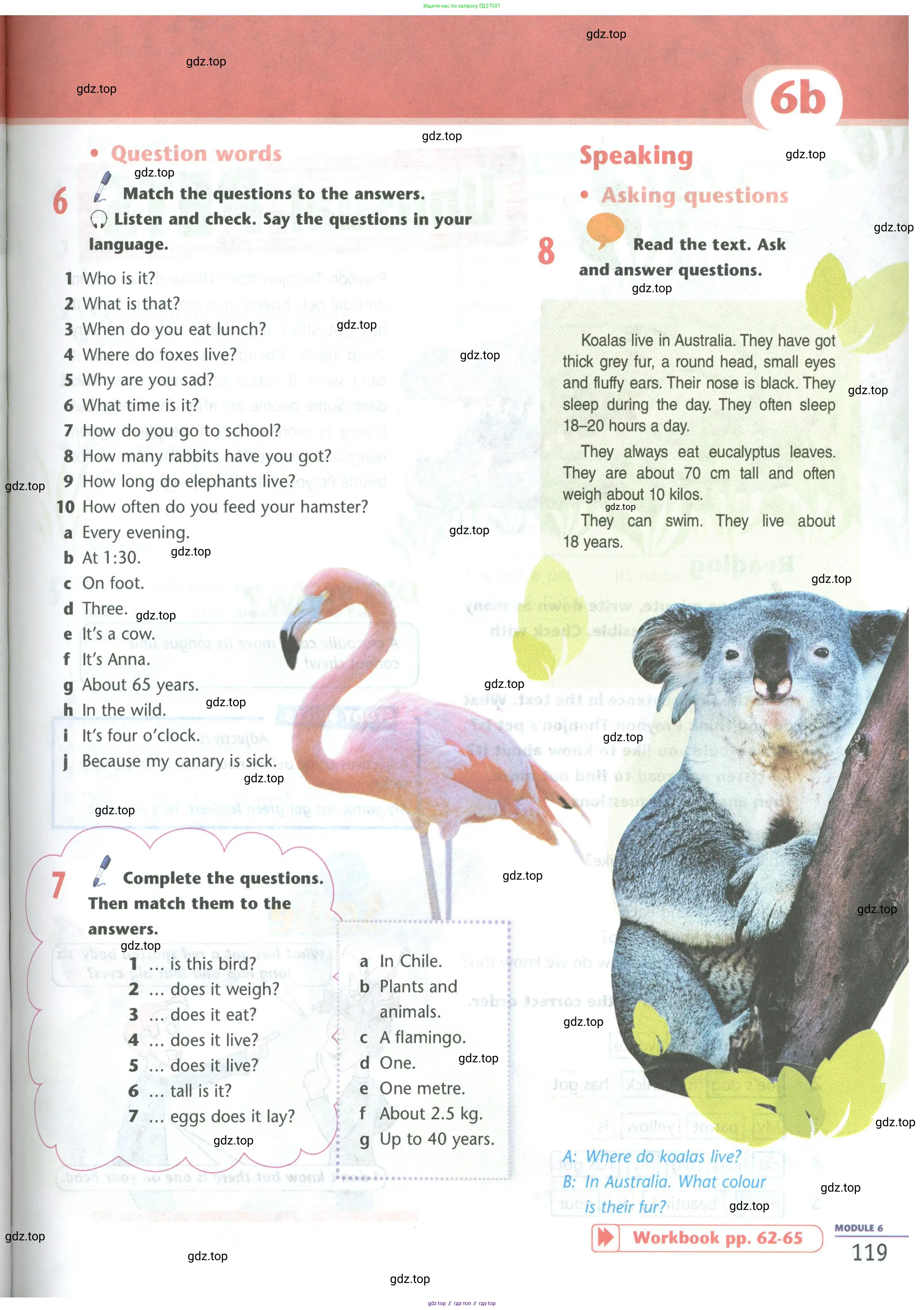 Английский язык (english), 5 класс Учебник (Student's book), авторы: Маневич Екатерина Гарьевна (Manevich Yekaterina), Полякова Анна Александровна (Polyakova Anna), Дули Дженни (Dooley Jenny), Эванс Вирджиния (Evans Virginia), издательство Просвещение, Москва, 2023, голубого цвета, страница 119