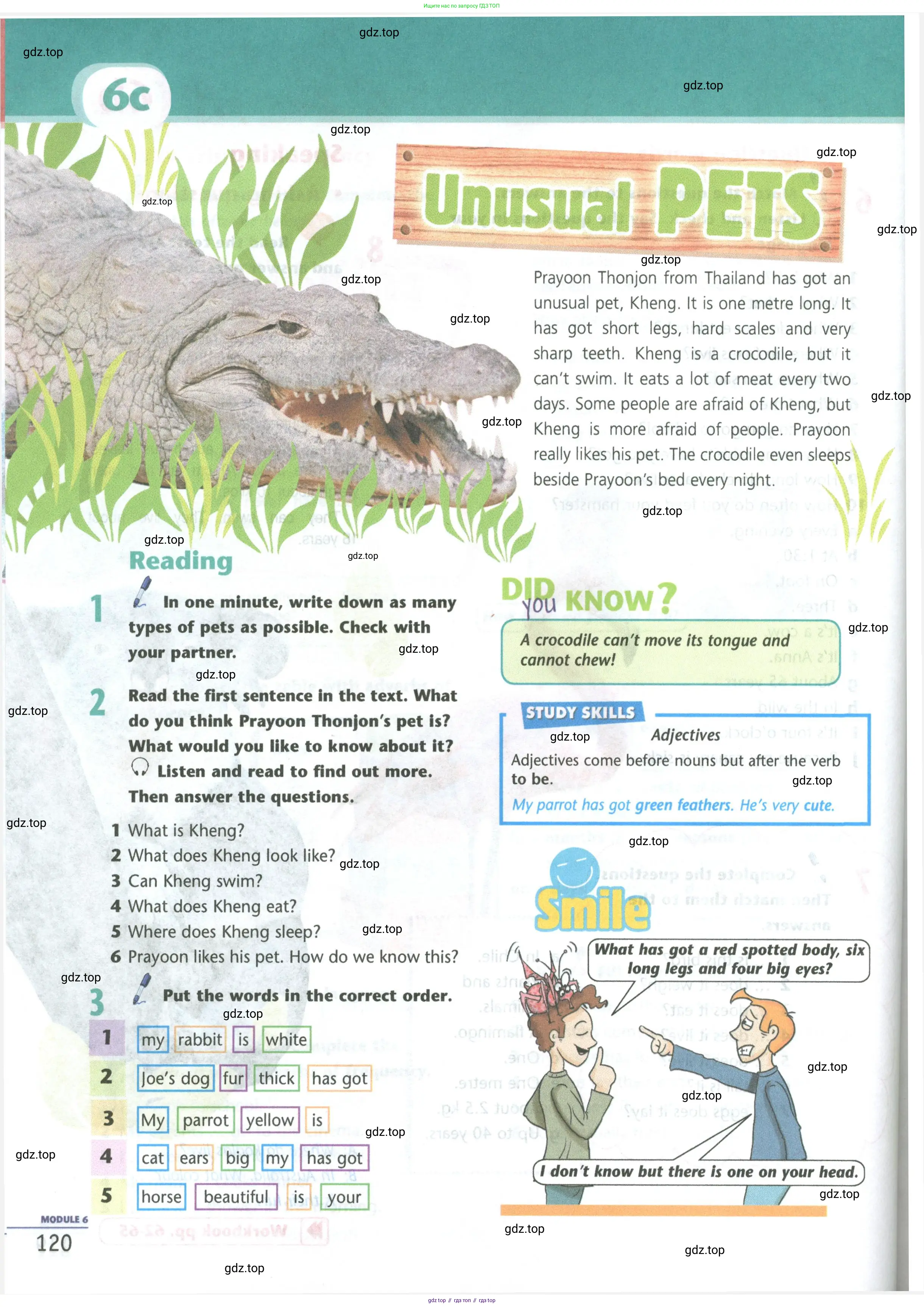Английский язык (english), 5 класс Учебник (Student's book), авторы: Маневич Екатерина Гарьевна (Manevich Yekaterina), Полякова Анна Александровна (Polyakova Anna), Дули Дженни (Dooley Jenny), Эванс Вирджиния (Evans Virginia), издательство Просвещение, Москва, 2023, голубого цвета, страница 120