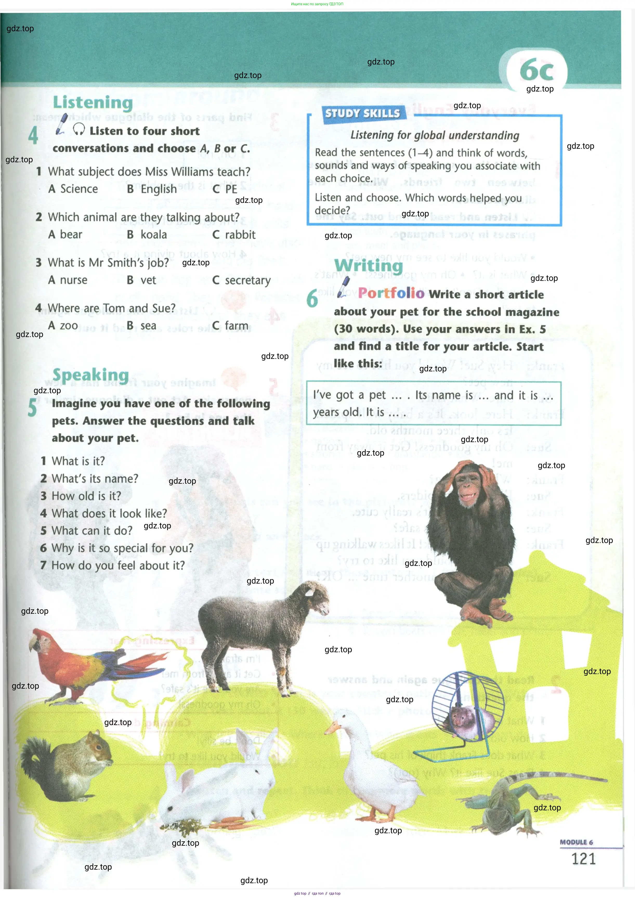 Английский язык (english), 5 класс Учебник (Student's book), авторы: Маневич Екатерина Гарьевна (Manevich Yekaterina), Полякова Анна Александровна (Polyakova Anna), Дули Дженни (Dooley Jenny), Эванс Вирджиния (Evans Virginia), издательство Просвещение, Москва, 2023, голубого цвета, страница 121