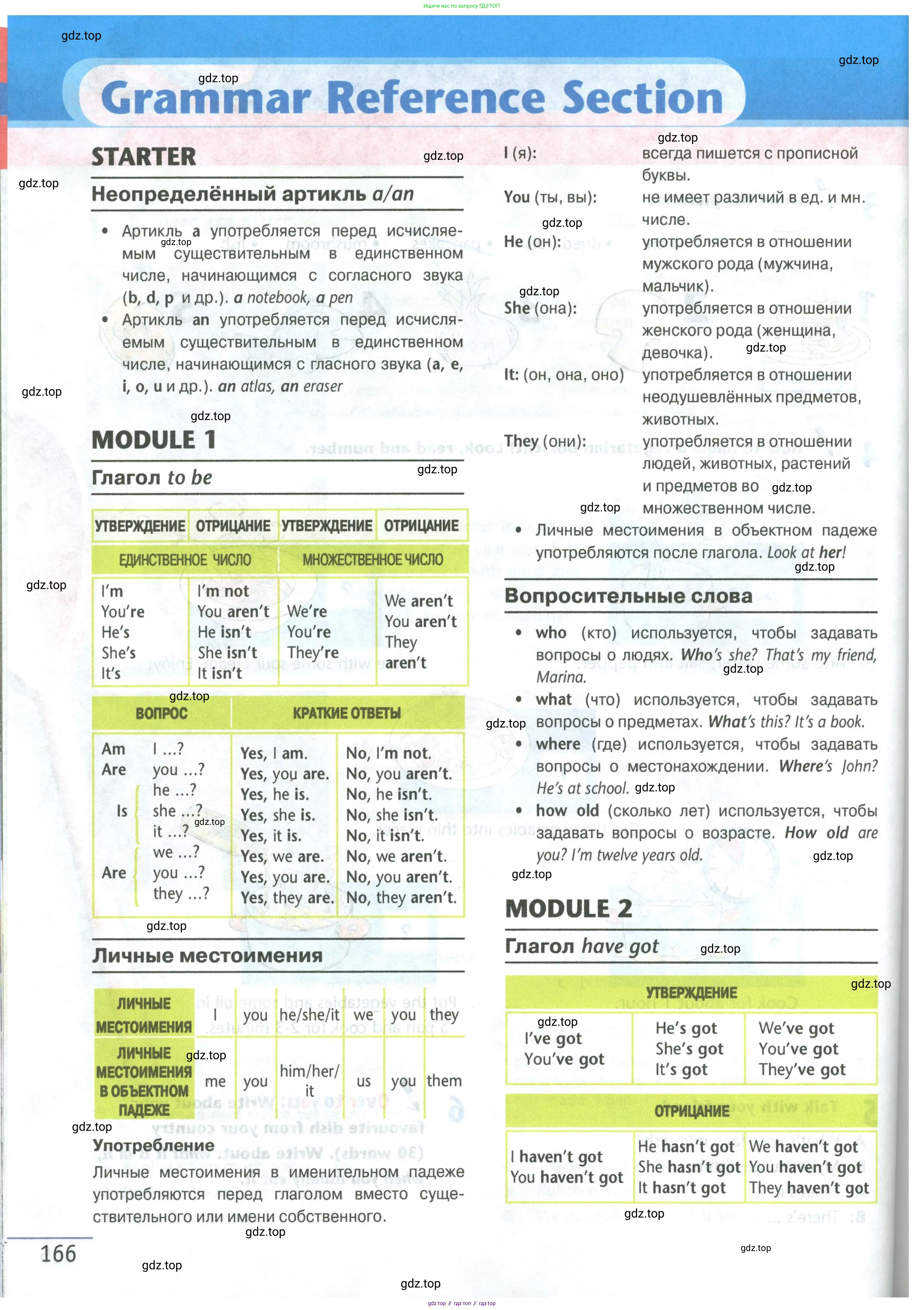 Английский язык (english), 5 класс Учебник (Student's book), авторы: Маневич Екатерина Гарьевна (Manevich Yekaterina), Полякова Анна Александровна (Polyakova Anna), Дули Дженни (Dooley Jenny), Эванс Вирджиния (Evans Virginia), издательство Просвещение, Москва, 2023, голубого цвета, страница 166