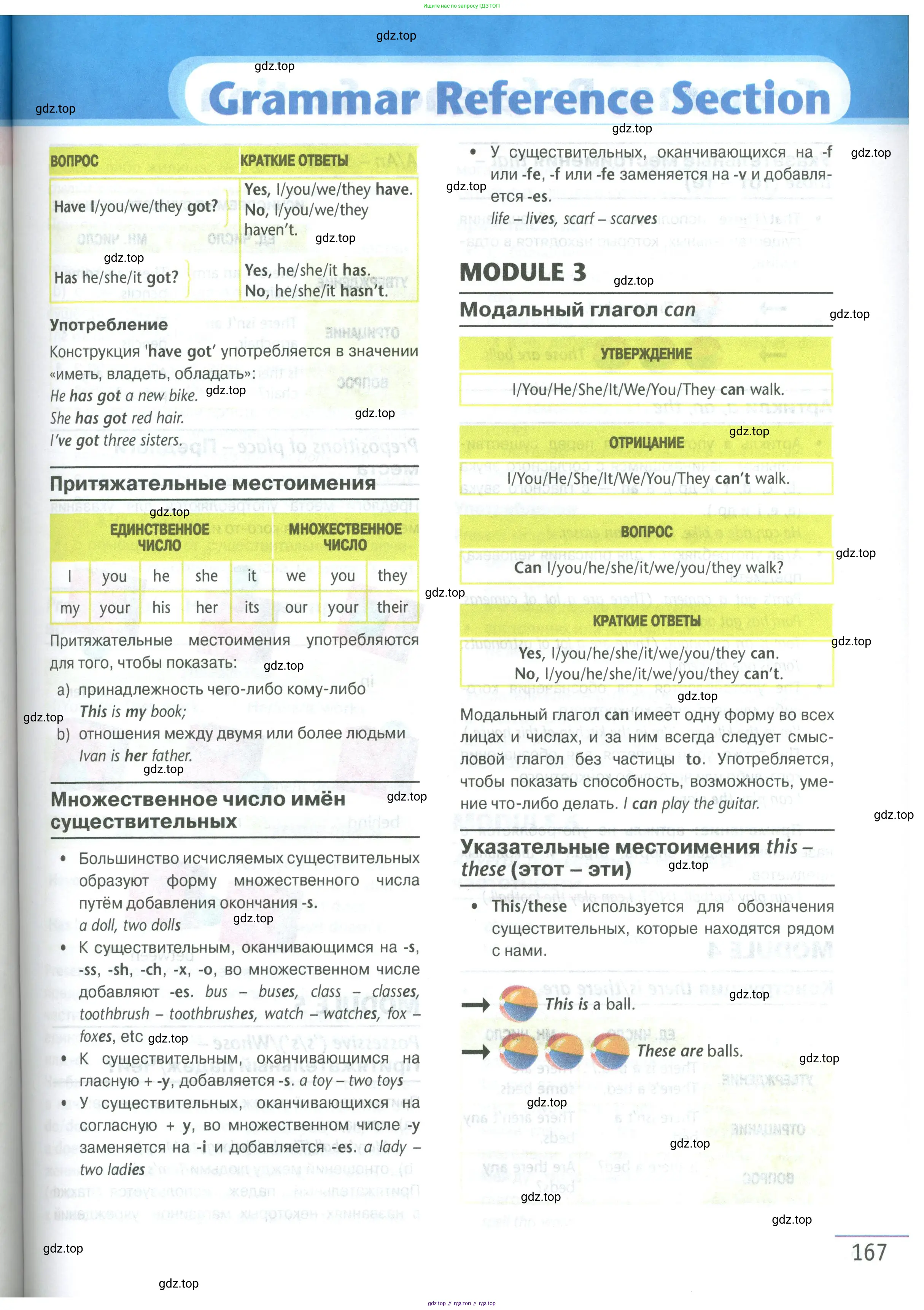 Английский язык (english), 5 класс Учебник (Student's book), авторы: Маневич Екатерина Гарьевна (Manevich Yekaterina), Полякова Анна Александровна (Polyakova Anna), Дули Дженни (Dooley Jenny), Эванс Вирджиния (Evans Virginia), издательство Просвещение, Москва, 2023, голубого цвета, страница 167