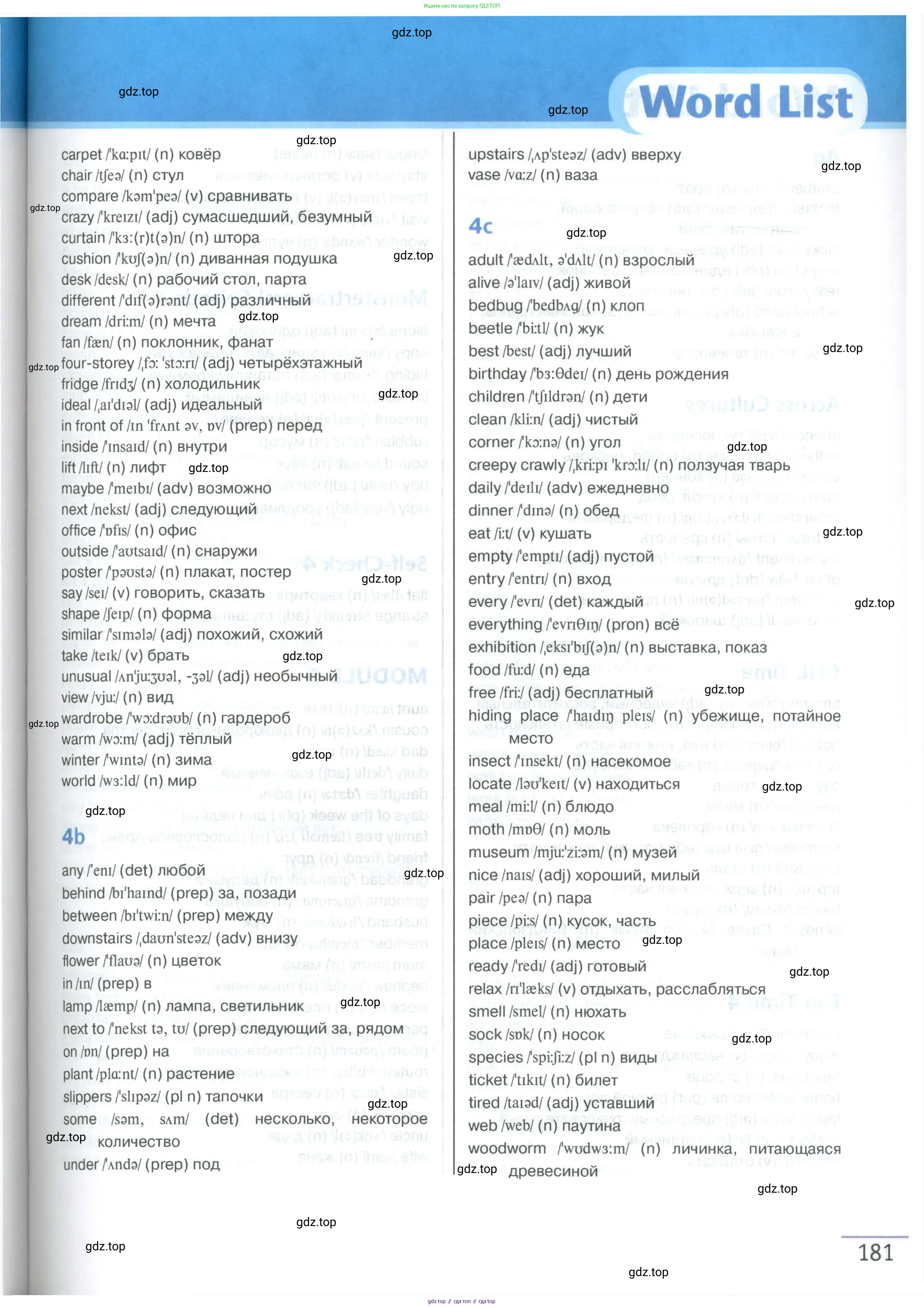 Английский язык (english), 5 класс Учебник (Student's book), авторы: Маневич Екатерина Гарьевна (Manevich Yekaterina), Полякова Анна Александровна (Polyakova Anna), Дули Дженни (Dooley Jenny), Эванс Вирджиния (Evans Virginia), издательство Просвещение, Москва, 2023, голубого цвета, страница 181