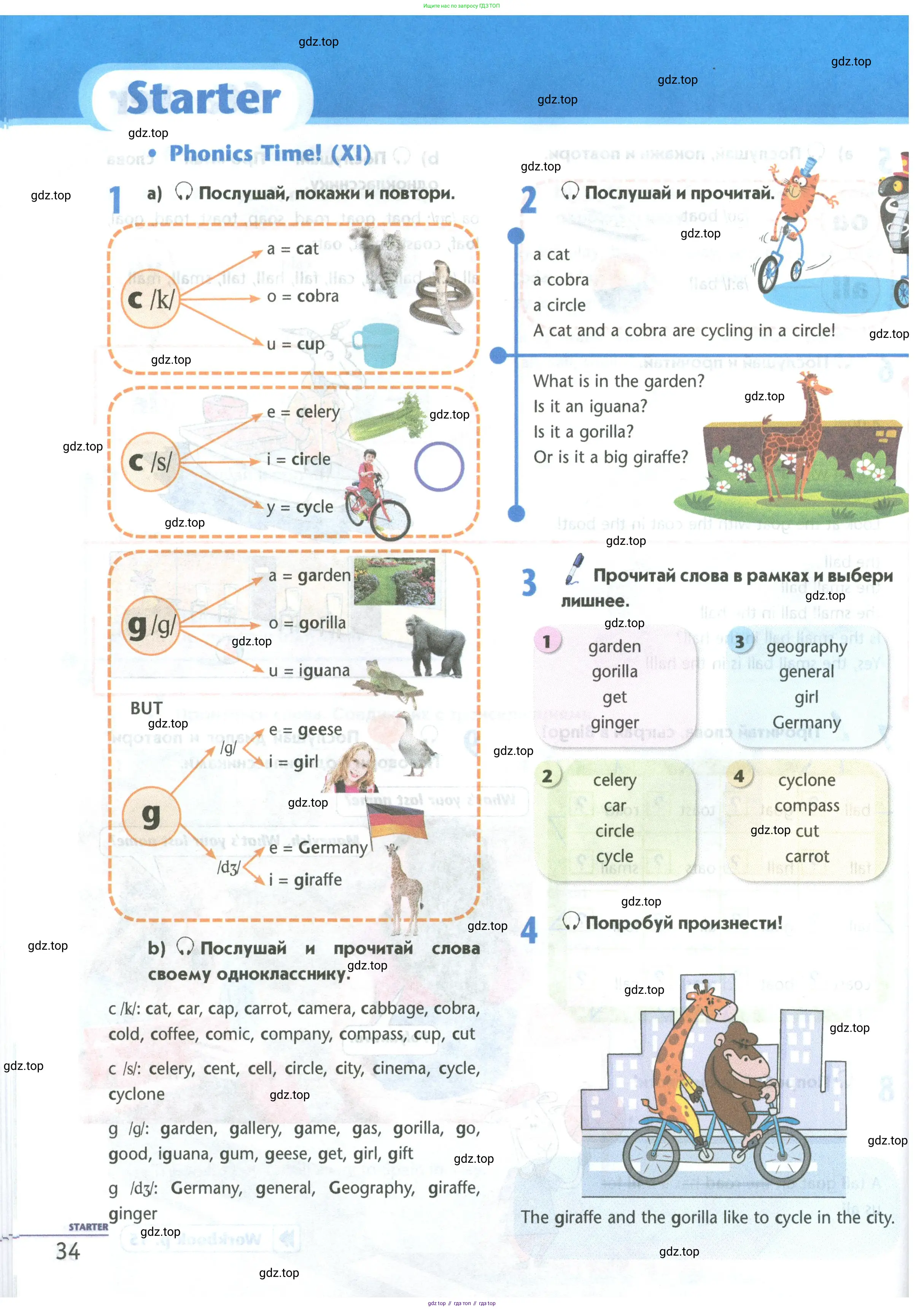 Английский язык (english), 5 класс Учебник (Student's book), авторы: Маневич Екатерина Гарьевна (Manevich Yekaterina), Полякова Анна Александровна (Polyakova Anna), Дули Дженни (Dooley Jenny), Эванс Вирджиния (Evans Virginia), издательство Просвещение, Москва, 2023, голубого цвета, страница 34