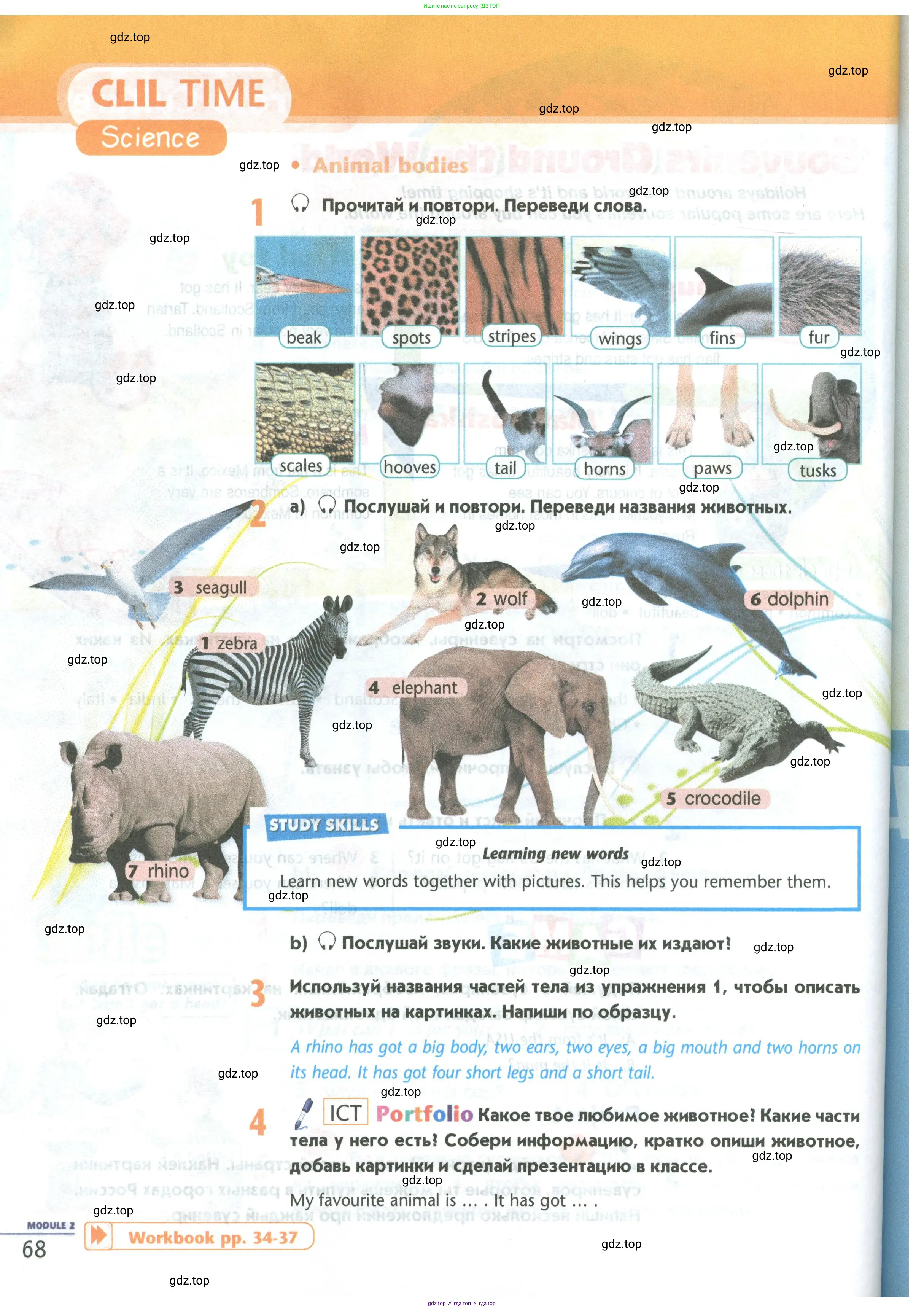 Английский язык (english), 5 класс Учебник (Student's book), авторы: Маневич Екатерина Гарьевна (Manevich Yekaterina), Полякова Анна Александровна (Polyakova Anna), Дули Дженни (Dooley Jenny), Эванс Вирджиния (Evans Virginia), издательство Просвещение, Москва, 2023, голубого цвета, страница 68
