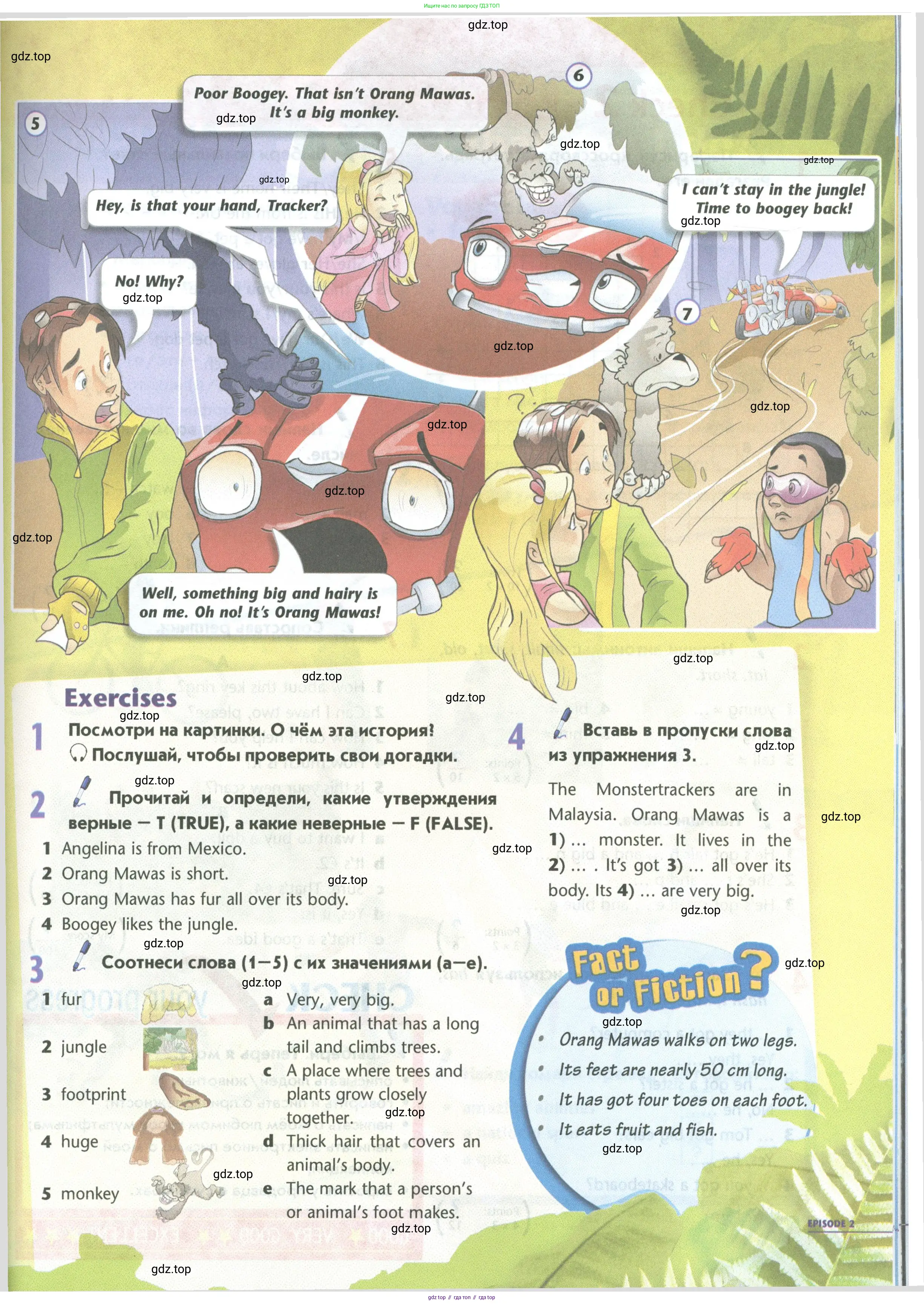 Английский язык (english), 5 класс Учебник (Student's book), авторы: Маневич Екатерина Гарьевна (Manevich Yekaterina), Полякова Анна Александровна (Polyakova Anna), Дули Дженни (Dooley Jenny), Эванс Вирджиния (Evans Virginia), издательство Просвещение, Москва, 2023, голубого цвета, страница 71