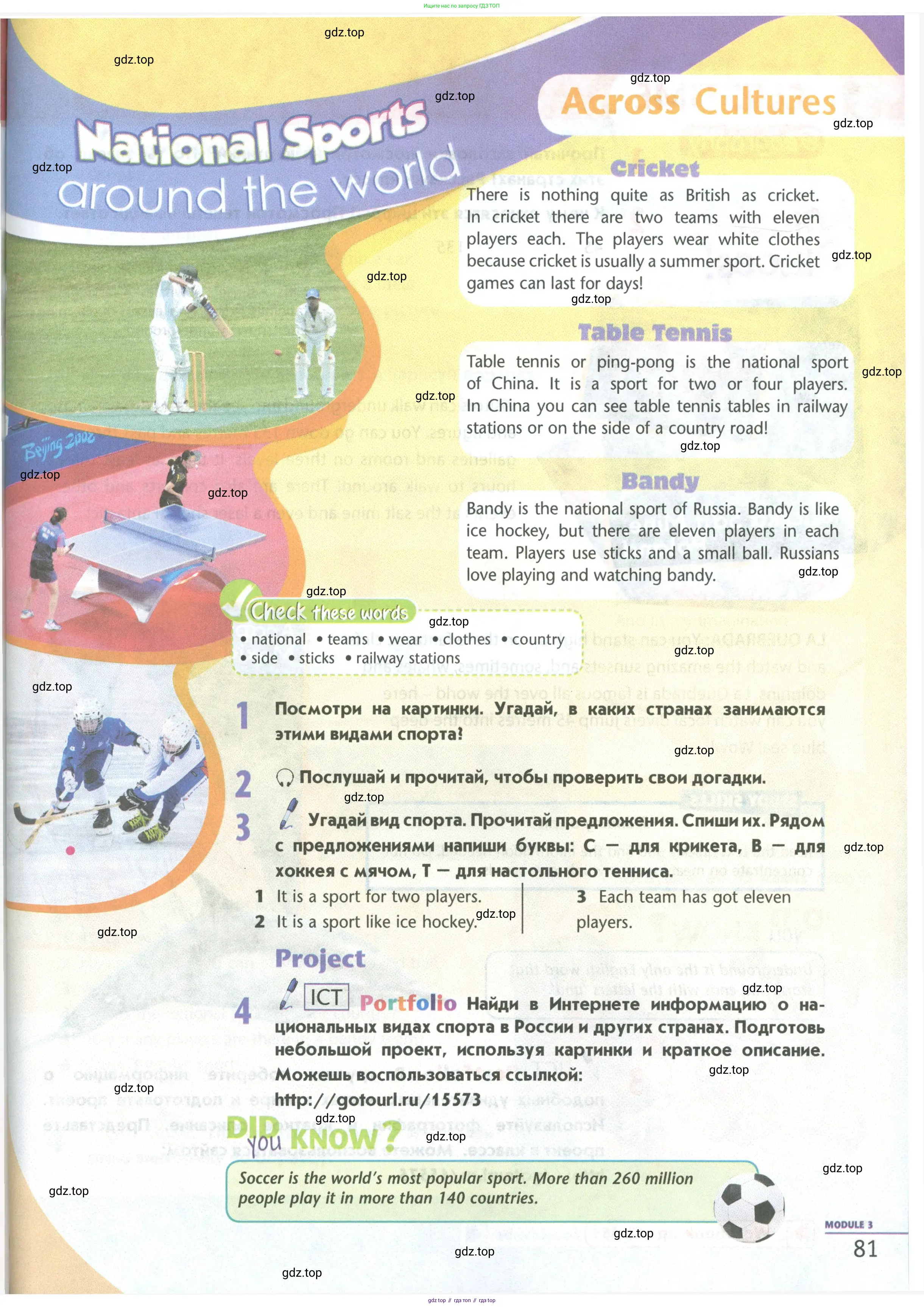 Английский язык (english), 5 класс Учебник (Student's book), авторы: Маневич Екатерина Гарьевна (Manevich Yekaterina), Полякова Анна Александровна (Polyakova Anna), Дули Дженни (Dooley Jenny), Эванс Вирджиния (Evans Virginia), издательство Просвещение, Москва, 2023, голубого цвета, страница 81