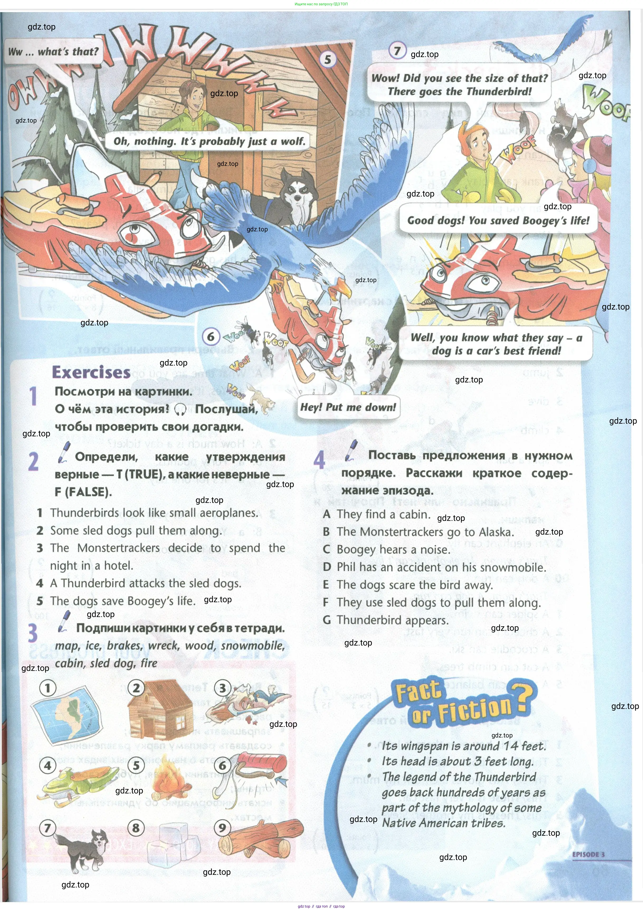 Английский язык (english), 5 класс Учебник (Student's book), авторы: Маневич Екатерина Гарьевна (Manevich Yekaterina), Полякова Анна Александровна (Polyakova Anna), Дули Дженни (Dooley Jenny), Эванс Вирджиния (Evans Virginia), издательство Просвещение, Москва, 2023, голубого цвета, страница 85