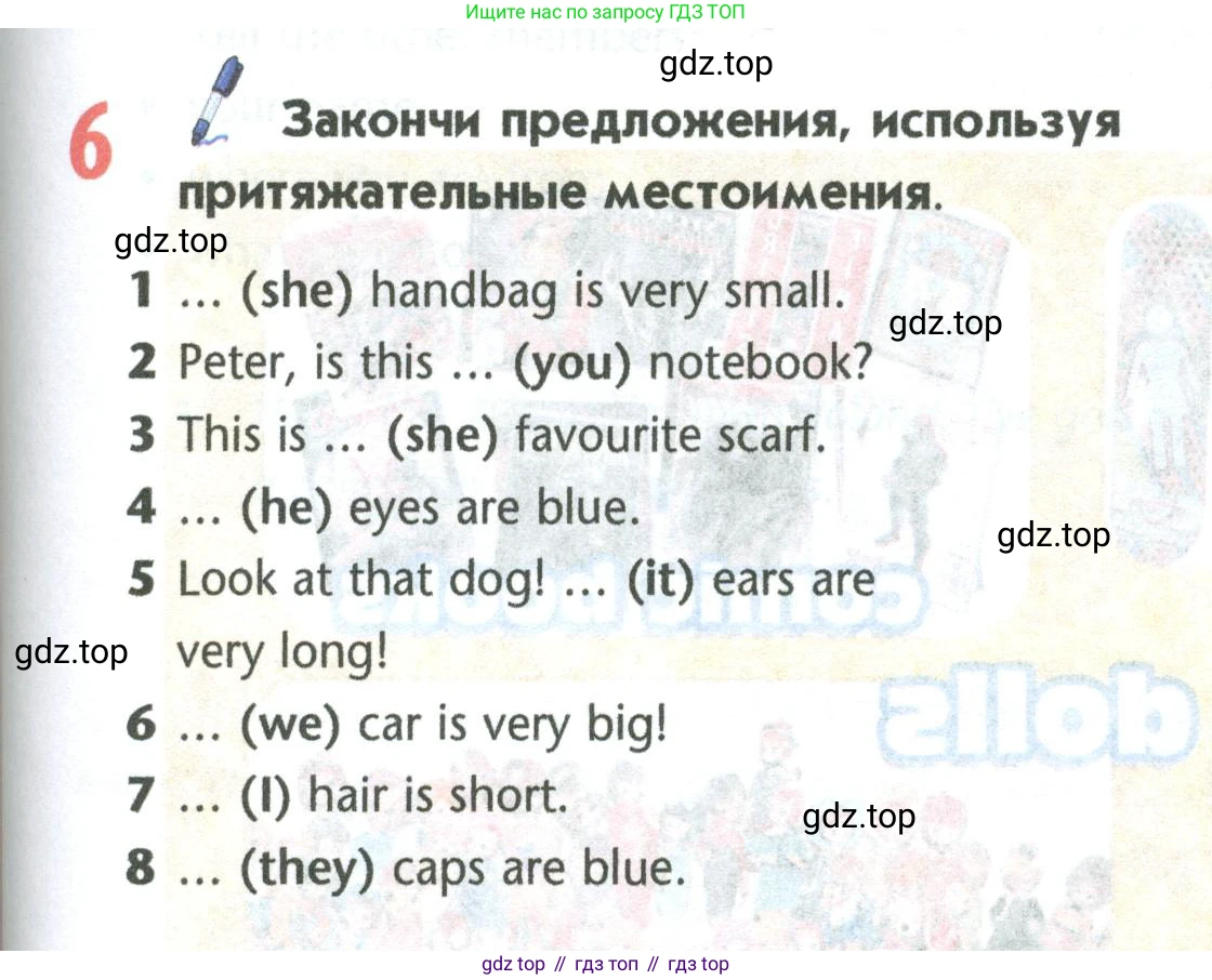Английский язык (english), 5 класс Учебник (Student's book), авторы: Маневич Екатерина Гарьевна (Manevich Yekaterina), Полякова Анна Александровна (Polyakova Anna), Дули Дженни (Dooley Jenny), Эванс Вирджиния (Evans Virginia), издательство Просвещение, Москва, 2023, голубого цвета, страница 63, номер 6, Условие