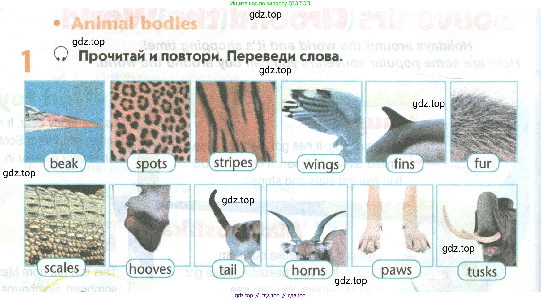 Английский язык (english), 5 класс Учебник (Student's book), авторы: Маневич Екатерина Гарьевна (Manevich Yekaterina), Полякова Анна Александровна (Polyakova Anna), Дули Дженни (Dooley Jenny), Эванс Вирджиния (Evans Virginia), издательство Просвещение, Москва, 2023, голубого цвета, страница 68, номер 1, Условие