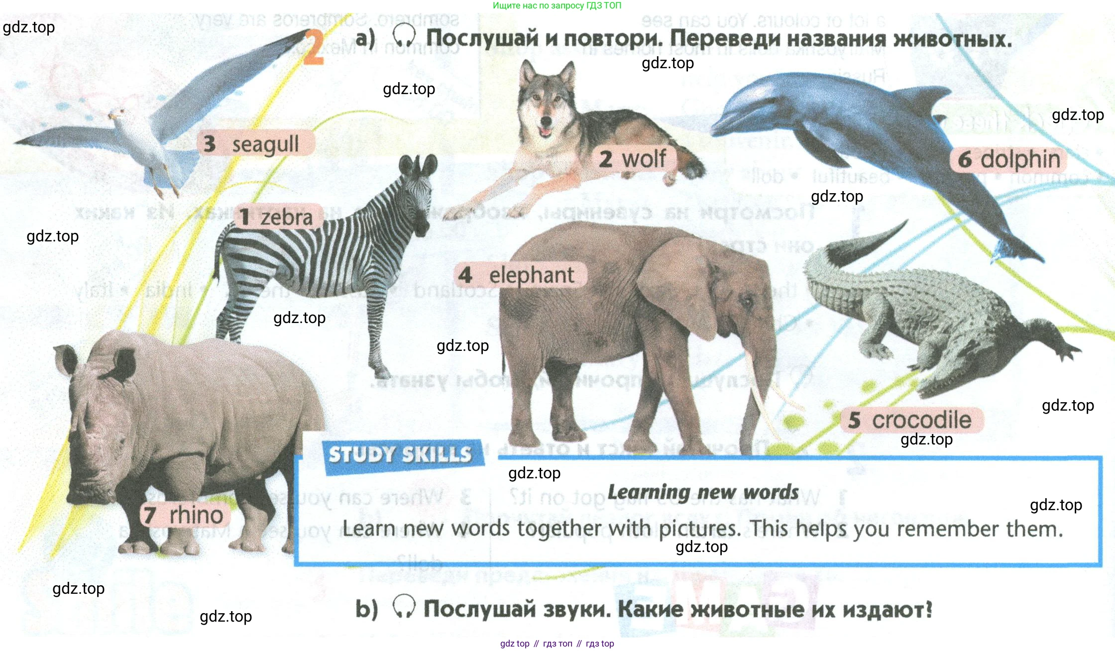 Английский язык (english), 5 класс Учебник (Student's book), авторы: Маневич Екатерина Гарьевна (Manevich Yekaterina), Полякова Анна Александровна (Polyakova Anna), Дули Дженни (Dooley Jenny), Эванс Вирджиния (Evans Virginia), издательство Просвещение, Москва, 2023, голубого цвета, страница 68, номер 2, Условие