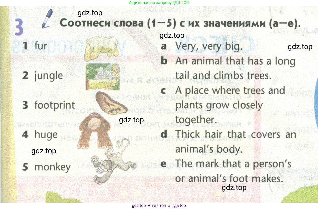 Английский язык (english), 5 класс Учебник (Student's book), авторы: Маневич Екатерина Гарьевна (Manevich Yekaterina), Полякова Анна Александровна (Polyakova Anna), Дули Дженни (Dooley Jenny), Эванс Вирджиния (Evans Virginia), издательство Просвещение, Москва, 2023, голубого цвета, страница 71, номер 3, Условие