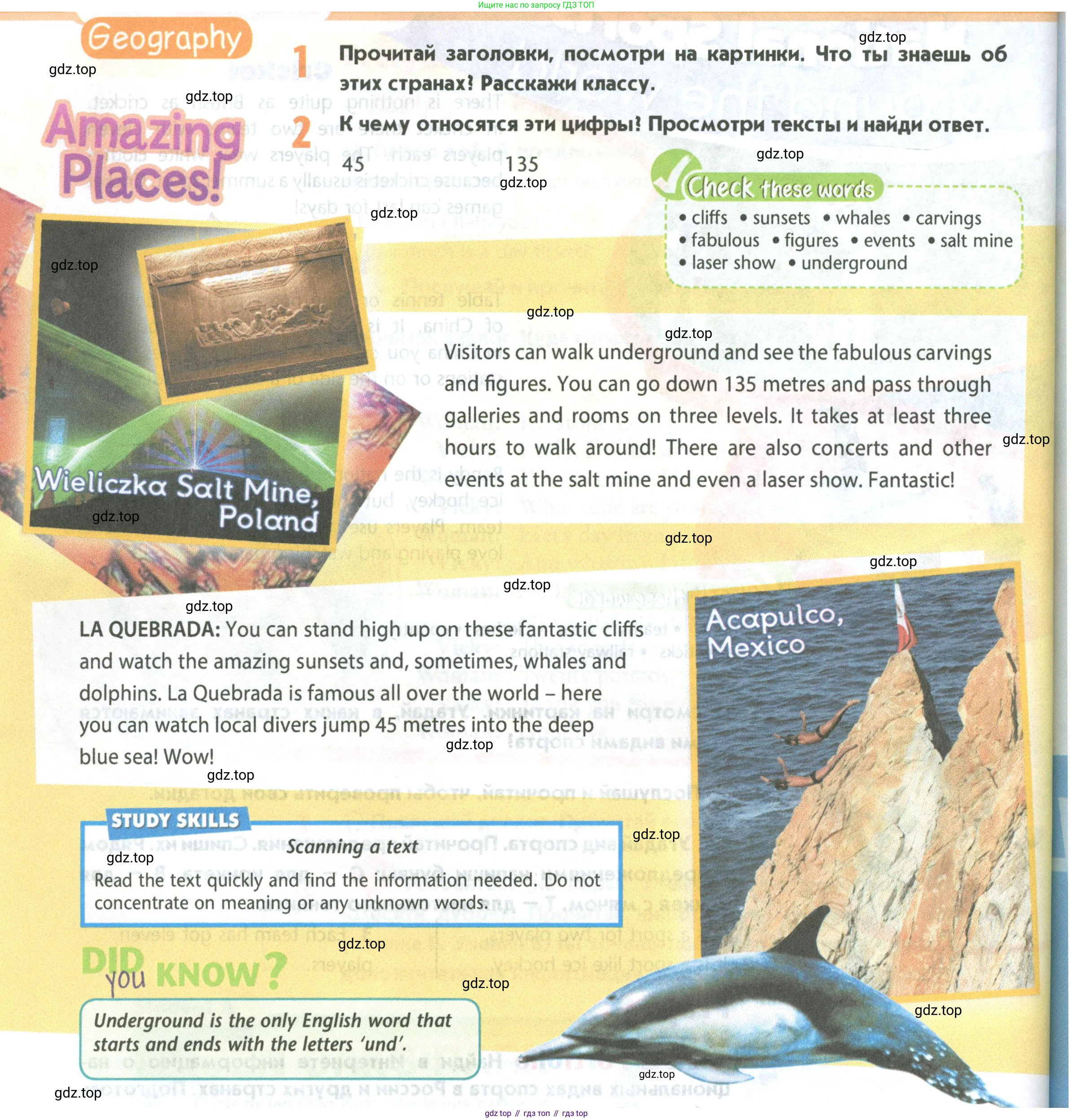 Английский язык (english), 5 класс Учебник (Student's book), авторы: Маневич Екатерина Гарьевна (Manevich Yekaterina), Полякова Анна Александровна (Polyakova Anna), Дули Дженни (Dooley Jenny), Эванс Вирджиния (Evans Virginia), издательство Просвещение, Москва, 2023, голубого цвета, страница 82, номер 1, Условие