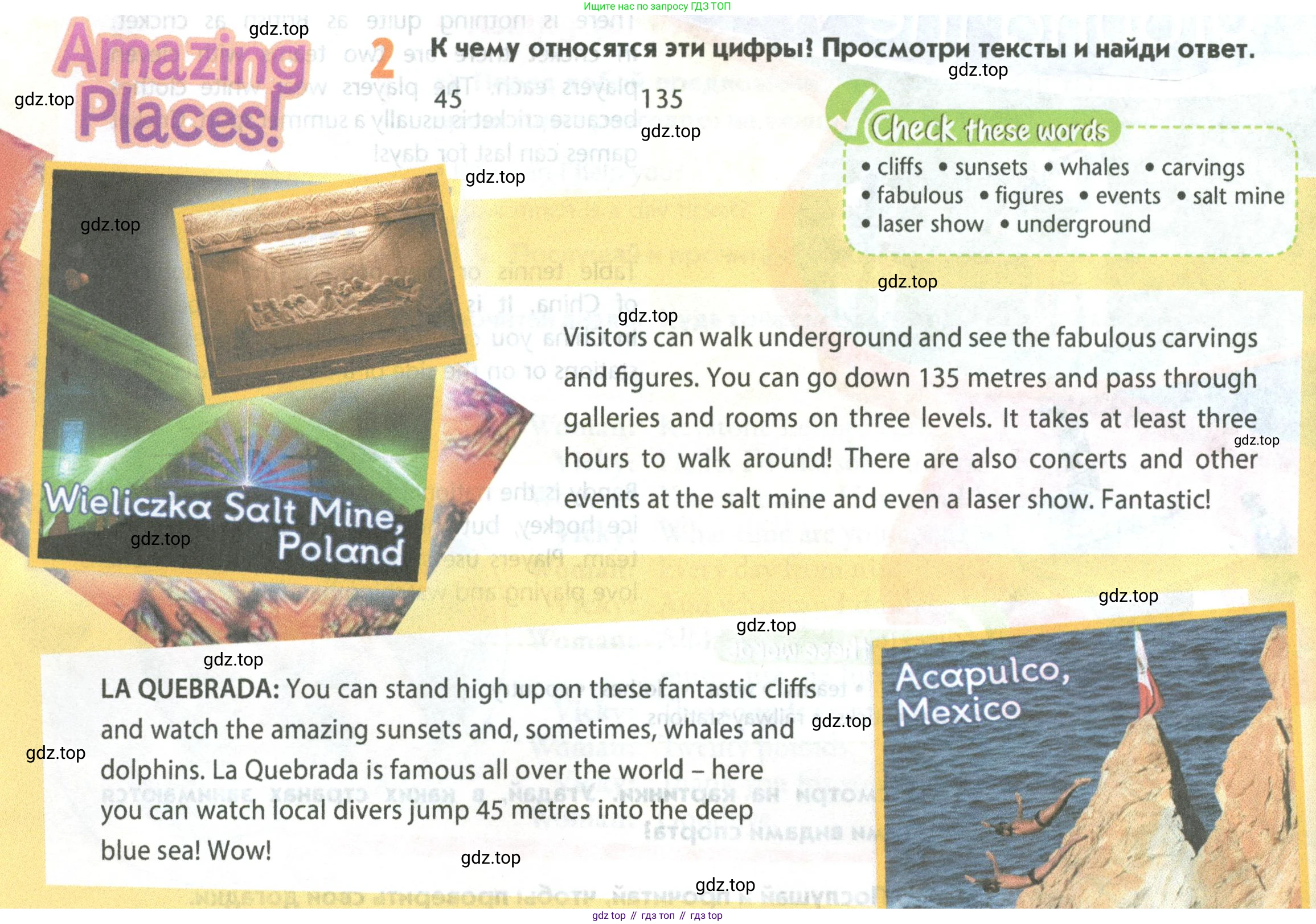 Английский язык (english), 5 класс Учебник (Student's book), авторы: Маневич Екатерина Гарьевна (Manevich Yekaterina), Полякова Анна Александровна (Polyakova Anna), Дули Дженни (Dooley Jenny), Эванс Вирджиния (Evans Virginia), издательство Просвещение, Москва, 2023, голубого цвета, страница 82, номер 2, Условие