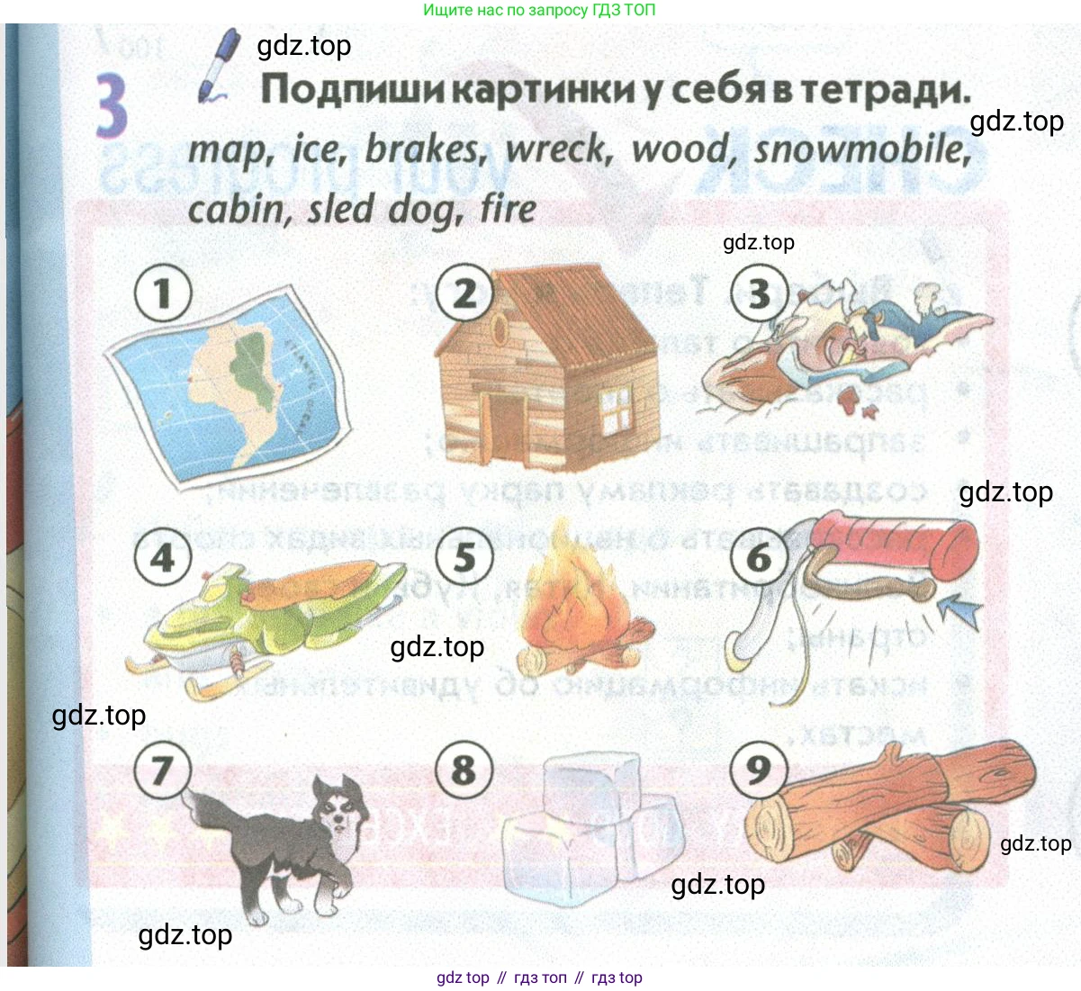 Английский язык (english), 5 класс Учебник (Student's book), авторы: Маневич Екатерина Гарьевна (Manevich Yekaterina), Полякова Анна Александровна (Polyakova Anna), Дули Дженни (Dooley Jenny), Эванс Вирджиния (Evans Virginia), издательство Просвещение, Москва, 2023, голубого цвета, страница 85, номер 3, Условие