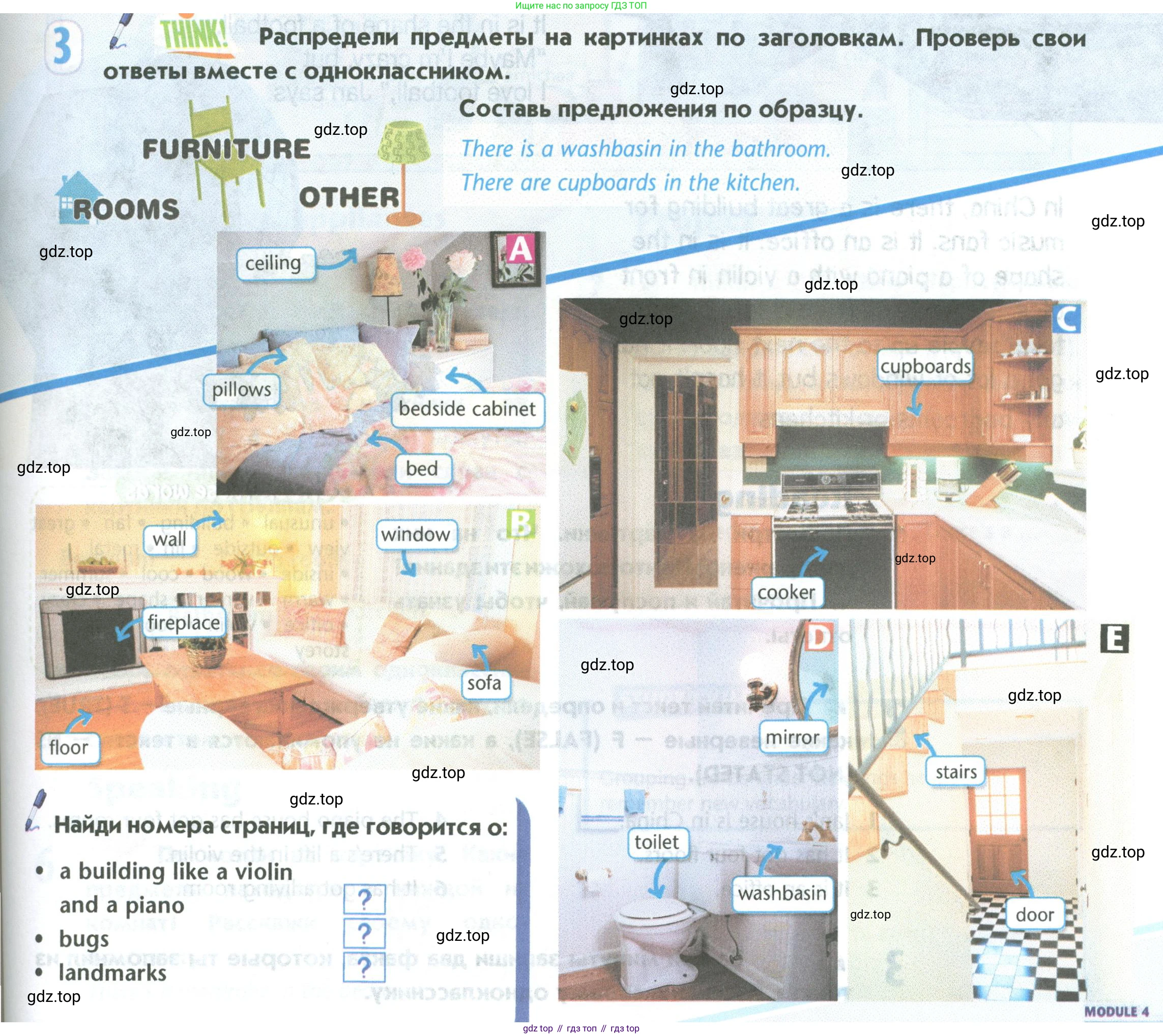 Английский язык (english), 5 класс Учебник (Student's book), авторы: Маневич Екатерина Гарьевна (Manevich Yekaterina), Полякова Анна Александровна (Polyakova Anna), Дули Дженни (Dooley Jenny), Эванс Вирджиния (Evans Virginia), издательство Просвещение, Москва, 2023, голубого цвета, страница 87, номер 3, Условие
