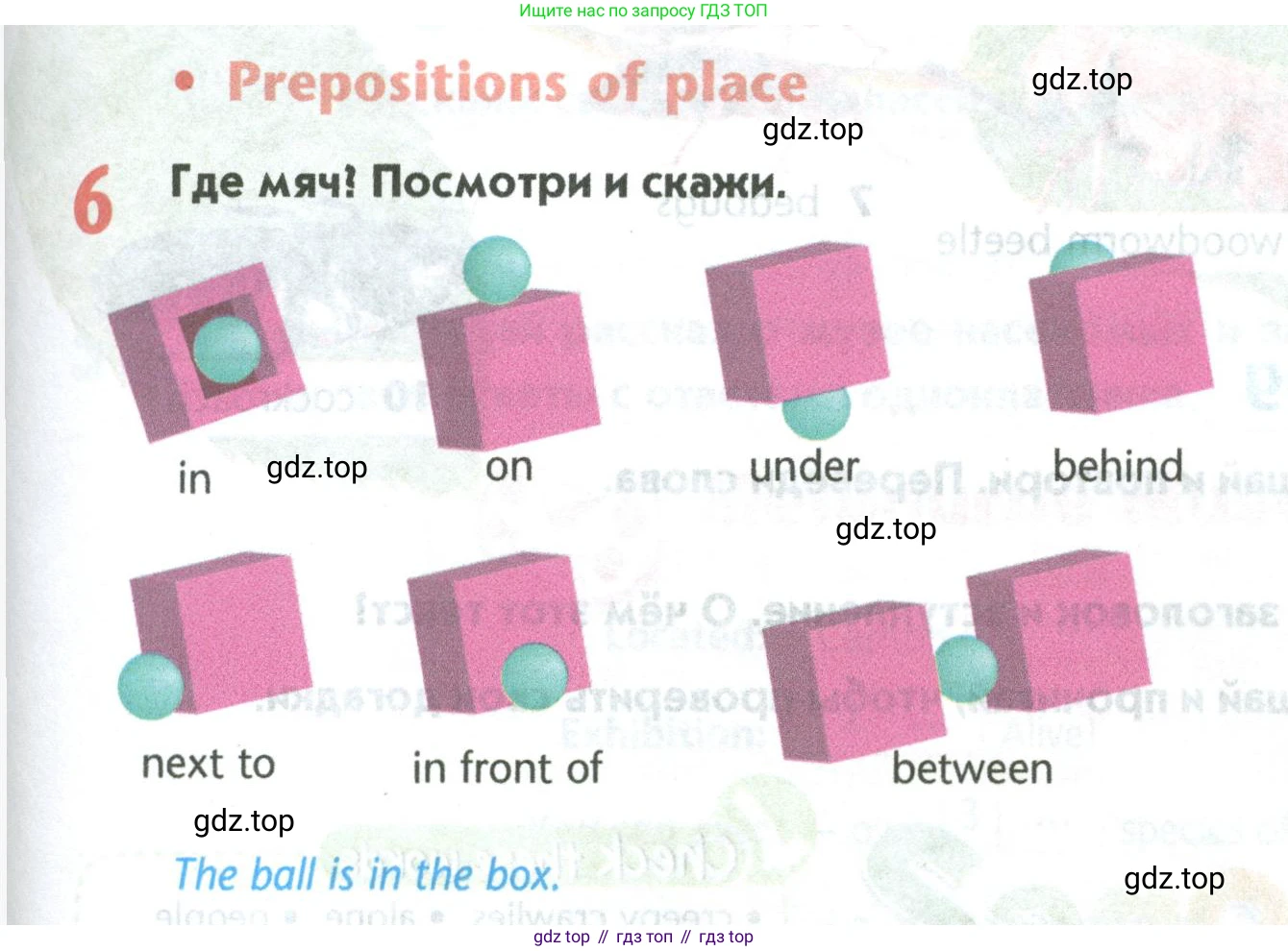Английский язык (english), 5 класс Учебник (Student's book), авторы: Маневич Екатерина Гарьевна (Manevich Yekaterina), Полякова Анна Александровна (Polyakova Anna), Дули Дженни (Dooley Jenny), Эванс Вирджиния (Evans Virginia), издательство Просвещение, Москва, 2023, голубого цвета, страница 91, номер 6, Условие