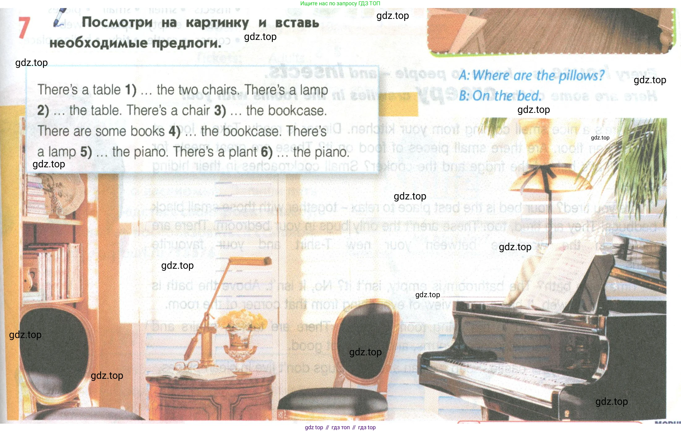 Английский язык (english), 5 класс Учебник (Student's book), авторы: Маневич Екатерина Гарьевна (Manevich Yekaterina), Полякова Анна Александровна (Polyakova Anna), Дули Дженни (Dooley Jenny), Эванс Вирджиния (Evans Virginia), издательство Просвещение, Москва, 2023, голубого цвета, страница 91, номер 7, Условие