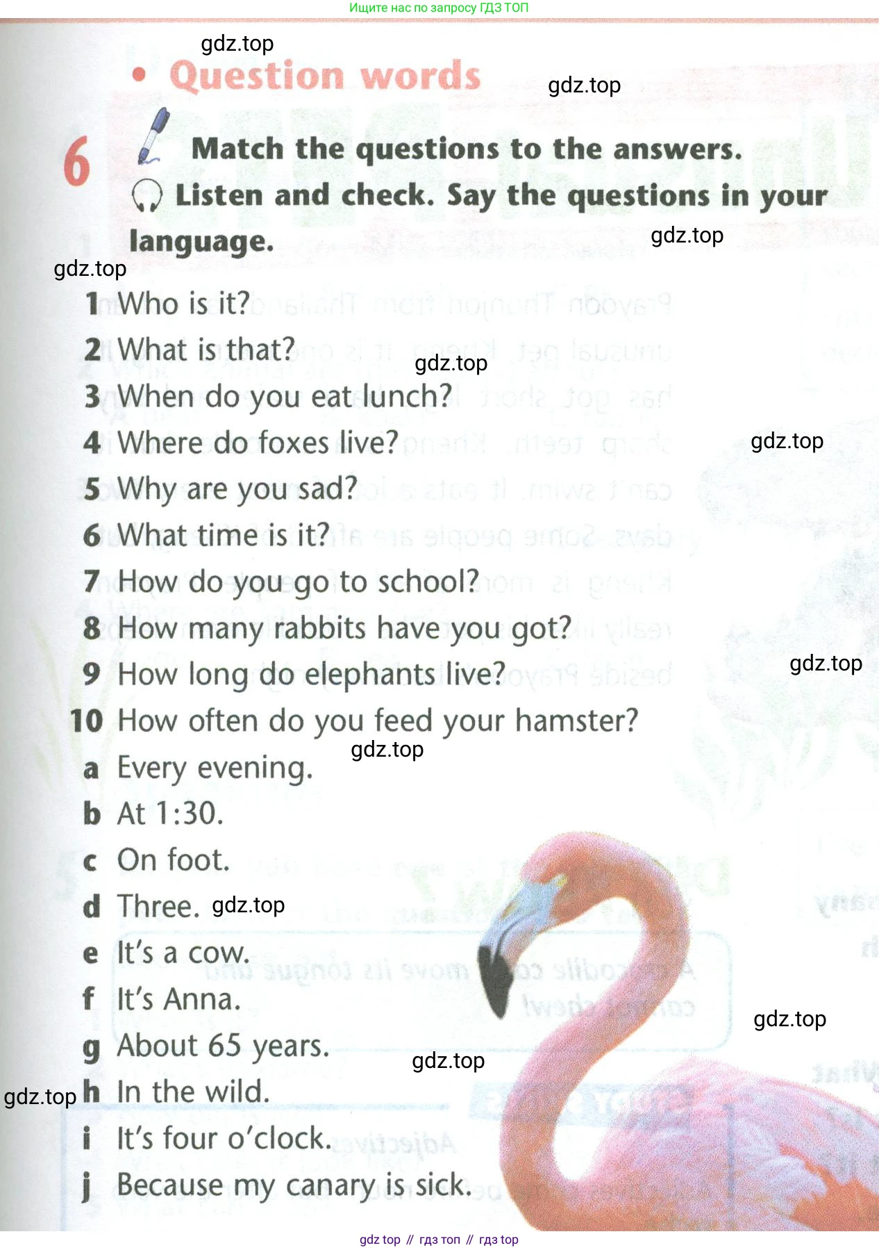Английский язык (english), 5 класс Учебник (Student's book), авторы: Маневич Екатерина Гарьевна (Manevich Yekaterina), Полякова Анна Александровна (Polyakova Anna), Дули Дженни (Dooley Jenny), Эванс Вирджиния (Evans Virginia), издательство Просвещение, Москва, 2023, голубого цвета, страница 119, номер 6, Условие