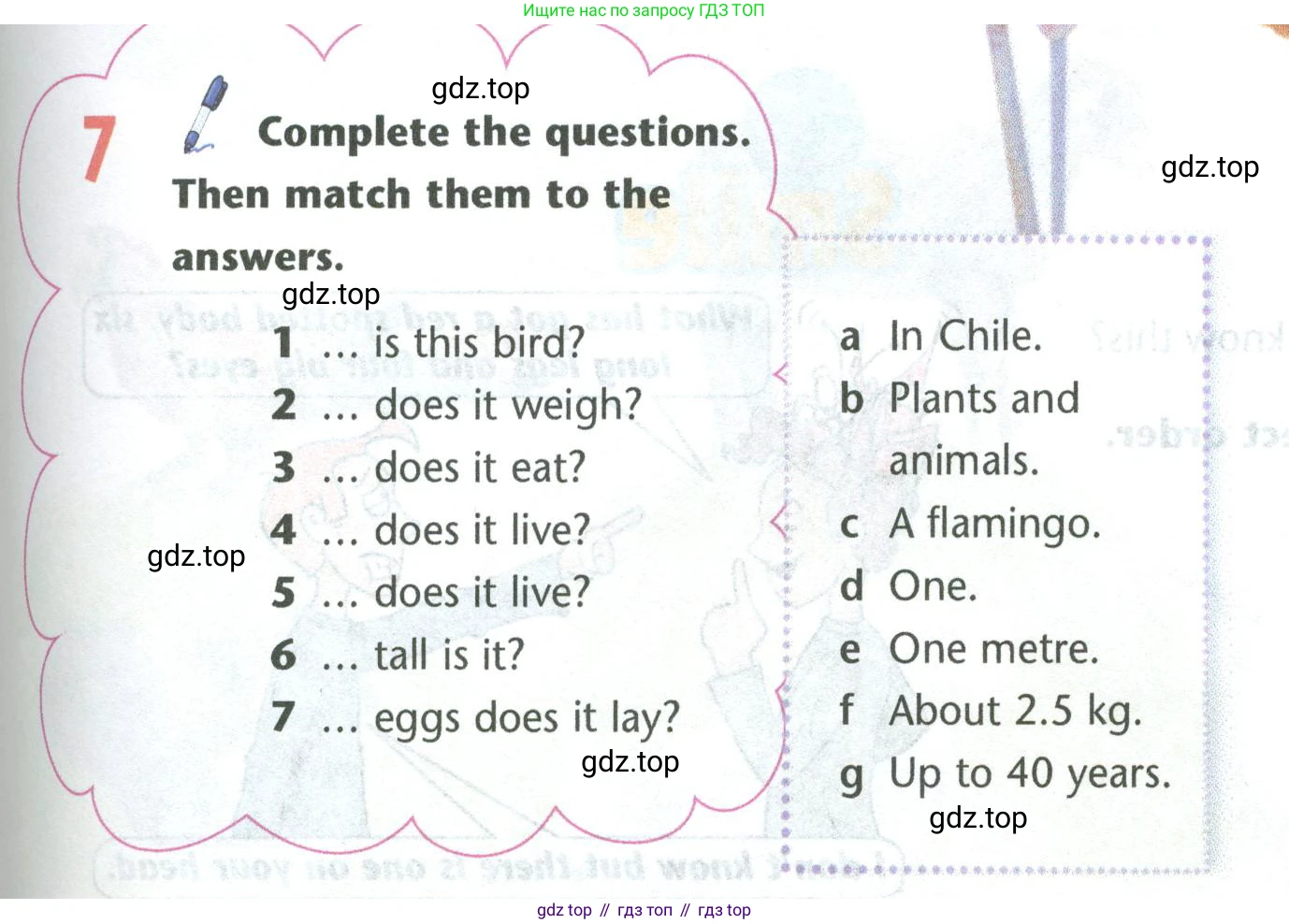 Английский язык (english), 5 класс Учебник (Student's book), авторы: Маневич Екатерина Гарьевна (Manevich Yekaterina), Полякова Анна Александровна (Polyakova Anna), Дули Дженни (Dooley Jenny), Эванс Вирджиния (Evans Virginia), издательство Просвещение, Москва, 2023, голубого цвета, страница 119, номер 7, Условие