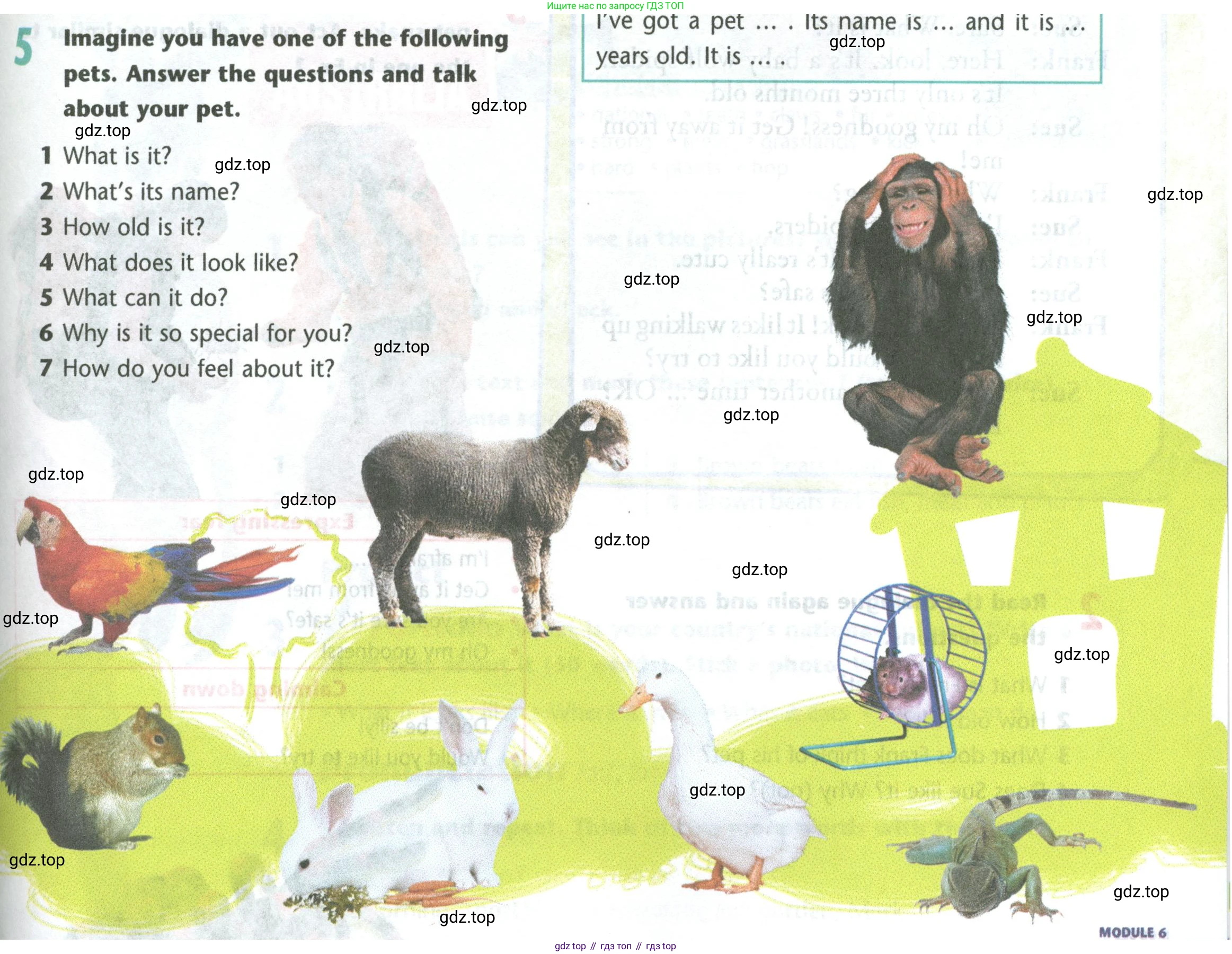 Английский язык (english), 5 класс Учебник (Student's book), авторы: Маневич Екатерина Гарьевна (Manevich Yekaterina), Полякова Анна Александровна (Polyakova Anna), Дули Дженни (Dooley Jenny), Эванс Вирджиния (Evans Virginia), издательство Просвещение, Москва, 2023, голубого цвета, страница 121, номер 5, Условие