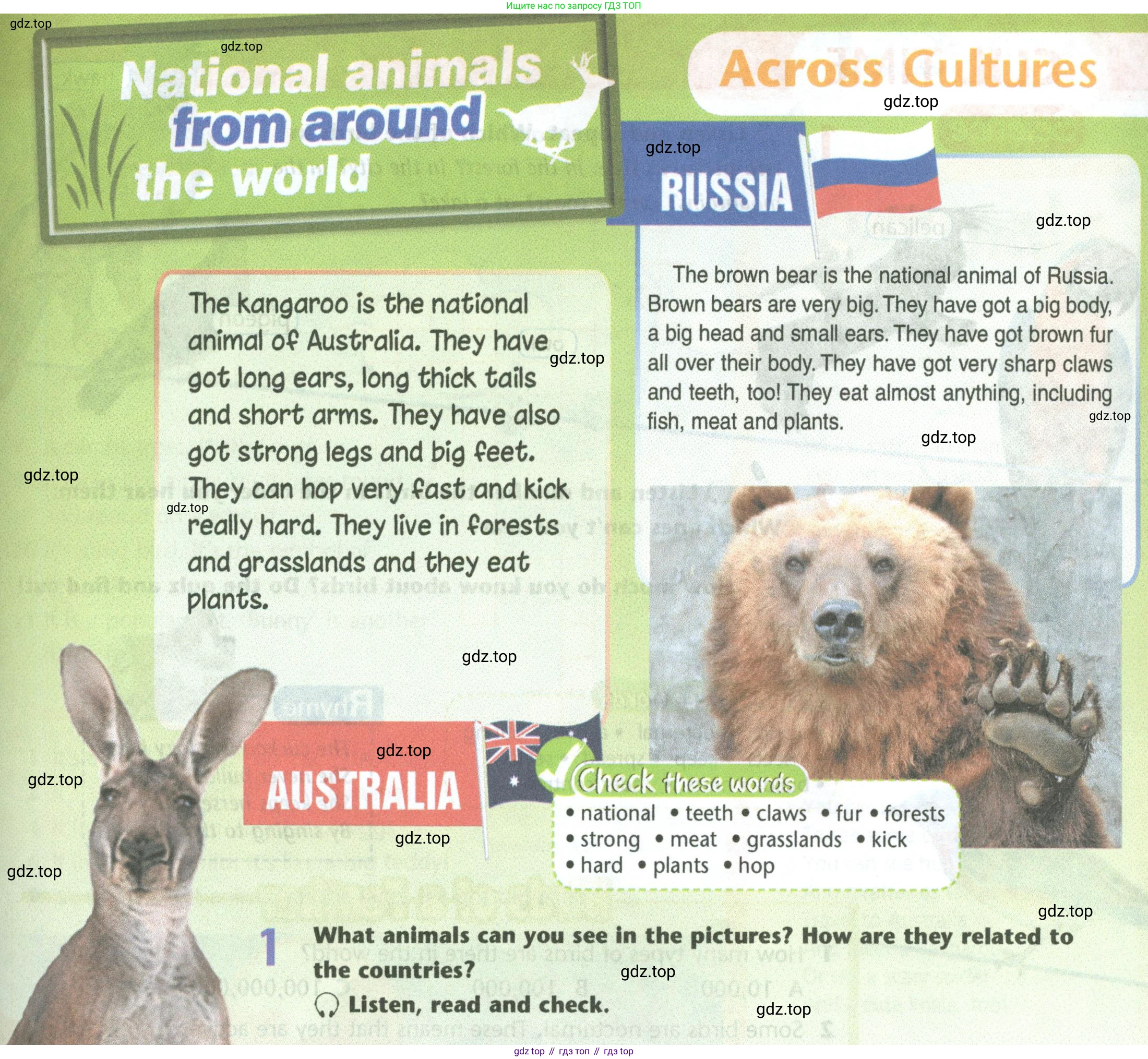 Английский язык (english), 5 класс Учебник (Student's book), авторы: Маневич Екатерина Гарьевна (Manevich Yekaterina), Полякова Анна Александровна (Polyakova Anna), Дули Дженни (Dooley Jenny), Эванс Вирджиния (Evans Virginia), издательство Просвещение, Москва, 2023, голубого цвета, страница 123, номер 1, Условие