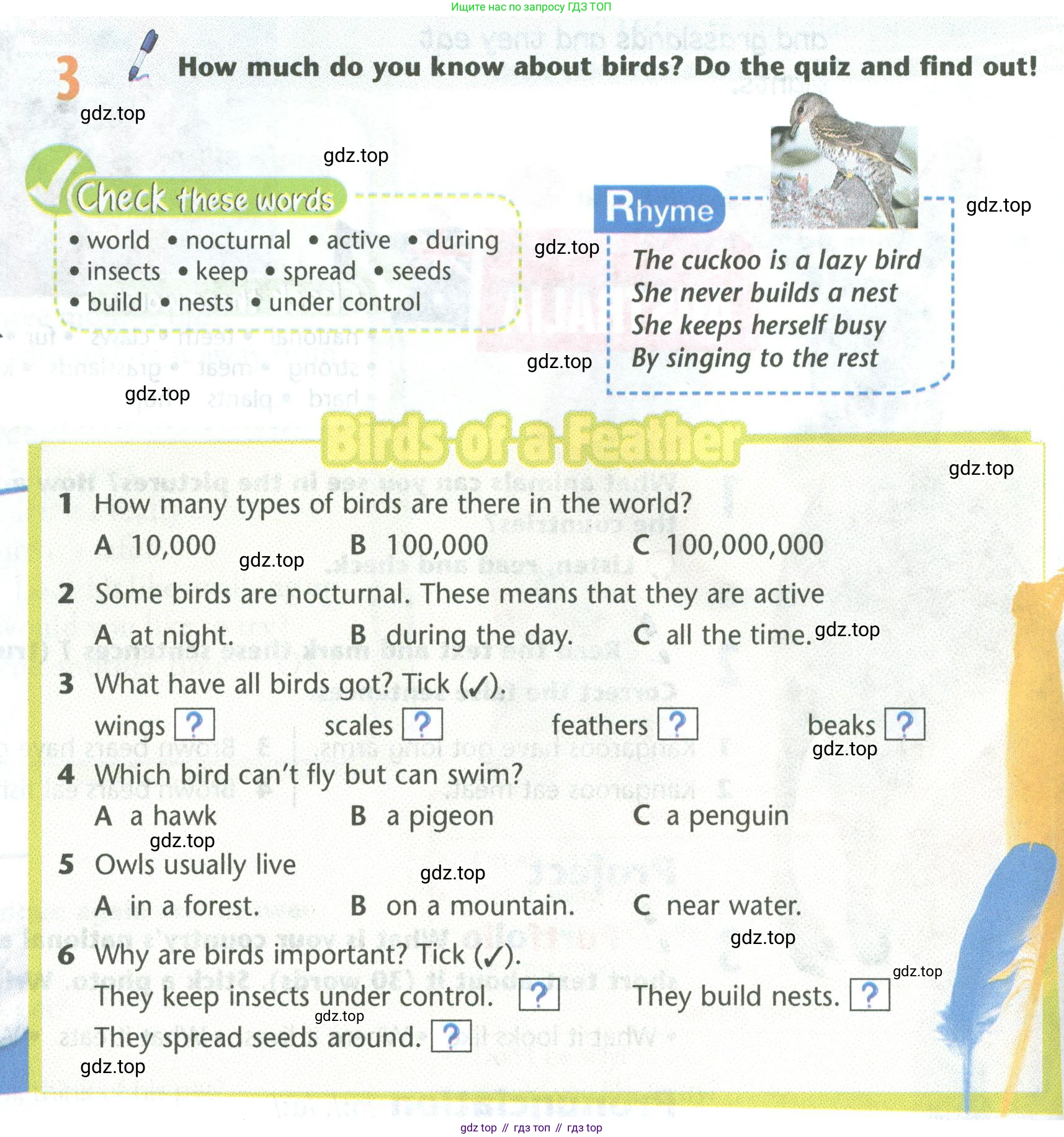 Английский язык (english), 5 класс Учебник (Student's book), авторы: Маневич Екатерина Гарьевна (Manevich Yekaterina), Полякова Анна Александровна (Polyakova Anna), Дули Дженни (Dooley Jenny), Эванс Вирджиния (Evans Virginia), издательство Просвещение, Москва, 2023, голубого цвета, страница 124, номер 3, Условие