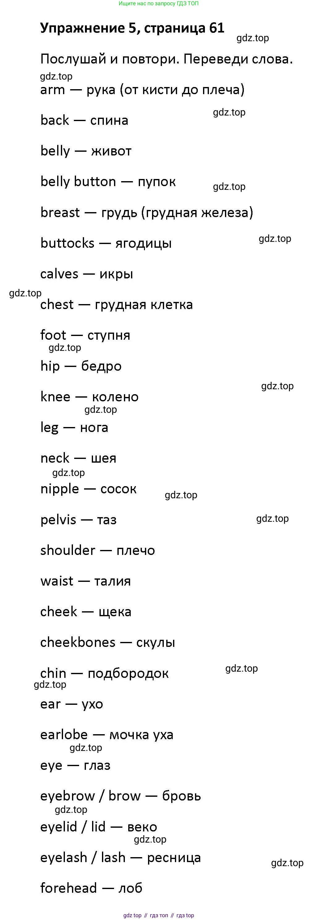 Английский язык (english), 5 класс Учебник (Student's book), авторы: Маневич Екатерина Гарьевна (Manevich Yekaterina), Полякова Анна Александровна (Polyakova Anna), Дули Дженни (Dooley Jenny), Эванс Вирджиния (Evans Virginia), издательство Просвещение, Москва, 2023, голубого цвета, страница 61, номер 5, Решение