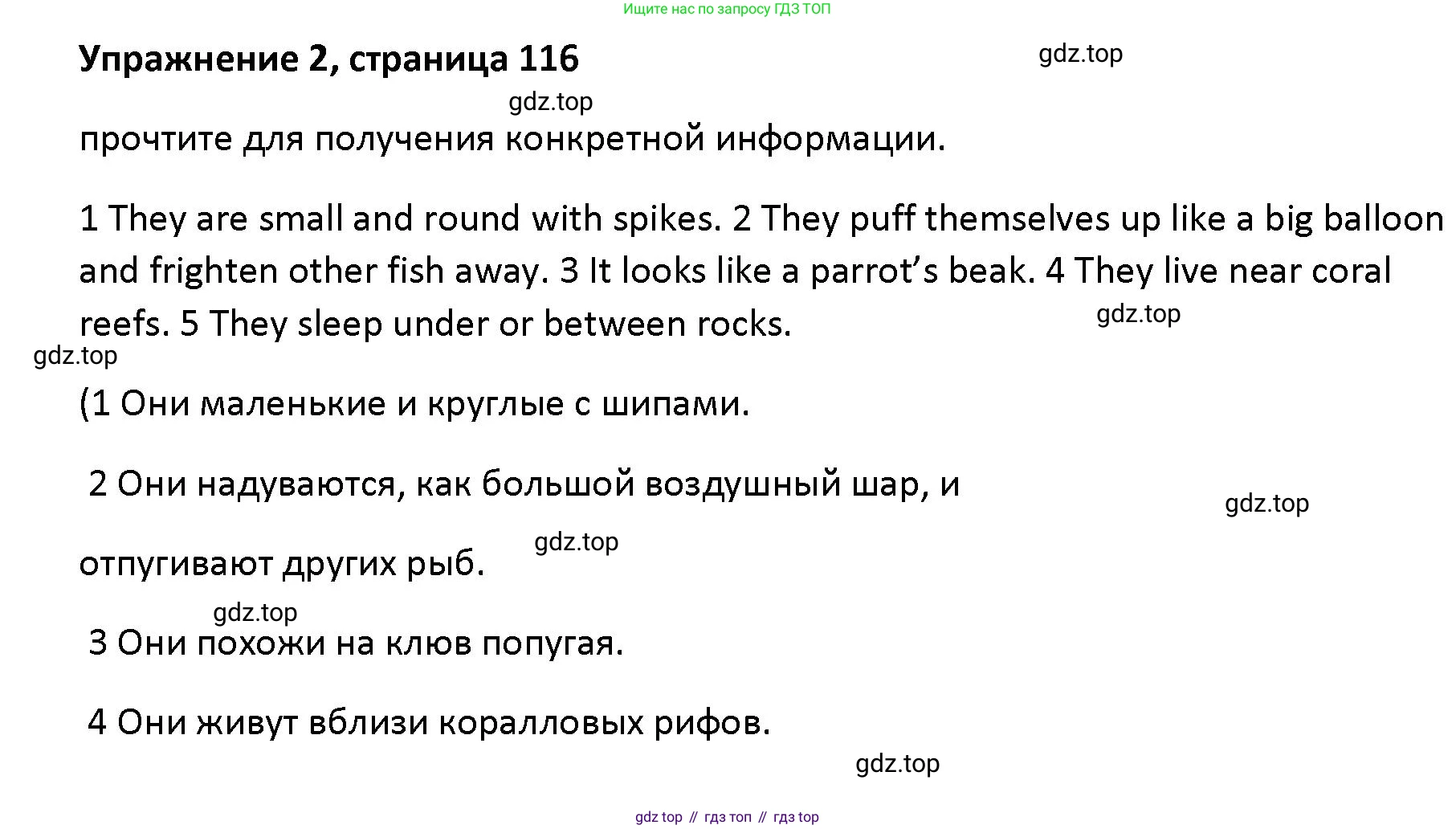 Английский язык (english), 5 класс Учебник (Student's book), авторы: Маневич Екатерина Гарьевна (Manevich Yekaterina), Полякова Анна Александровна (Polyakova Anna), Дули Дженни (Dooley Jenny), Эванс Вирджиния (Evans Virginia), издательство Просвещение, Москва, 2023, голубого цвета, страница 116, номер 2, Решение