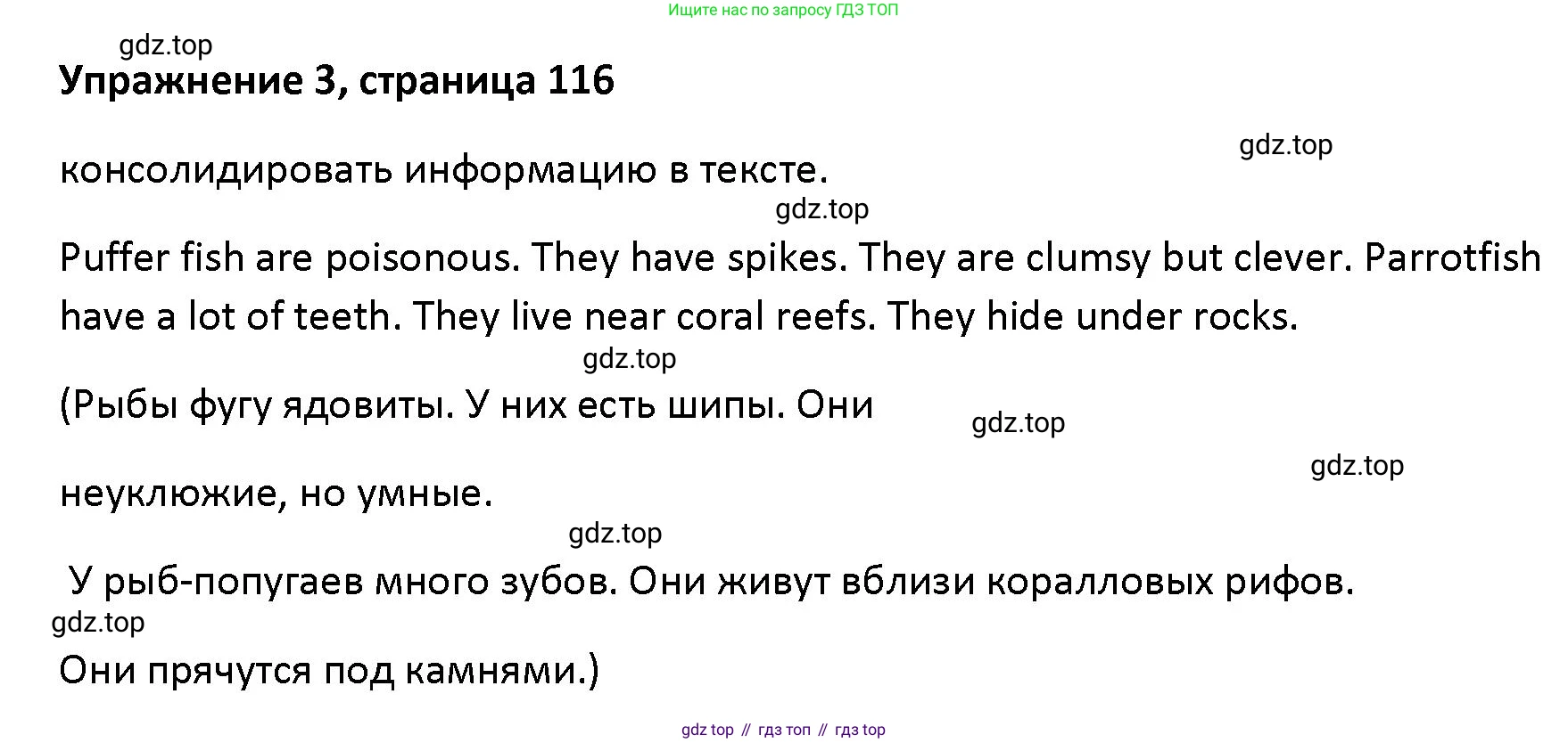 Английский язык (english), 5 класс Учебник (Student's book), авторы: Маневич Екатерина Гарьевна (Manevich Yekaterina), Полякова Анна Александровна (Polyakova Anna), Дули Дженни (Dooley Jenny), Эванс Вирджиния (Evans Virginia), издательство Просвещение, Москва, 2023, голубого цвета, страница 116, номер 3, Решение