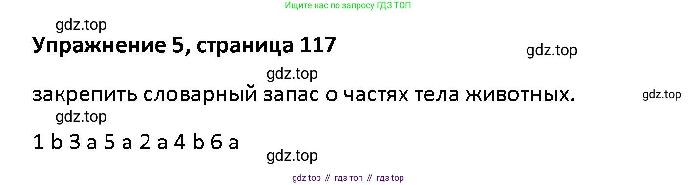 Английский язык (english), 5 класс Учебник (Student's book), авторы: Маневич Екатерина Гарьевна (Manevich Yekaterina), Полякова Анна Александровна (Polyakova Anna), Дули Дженни (Dooley Jenny), Эванс Вирджиния (Evans Virginia), издательство Просвещение, Москва, 2023, голубого цвета, страница 117, номер 5, Решение