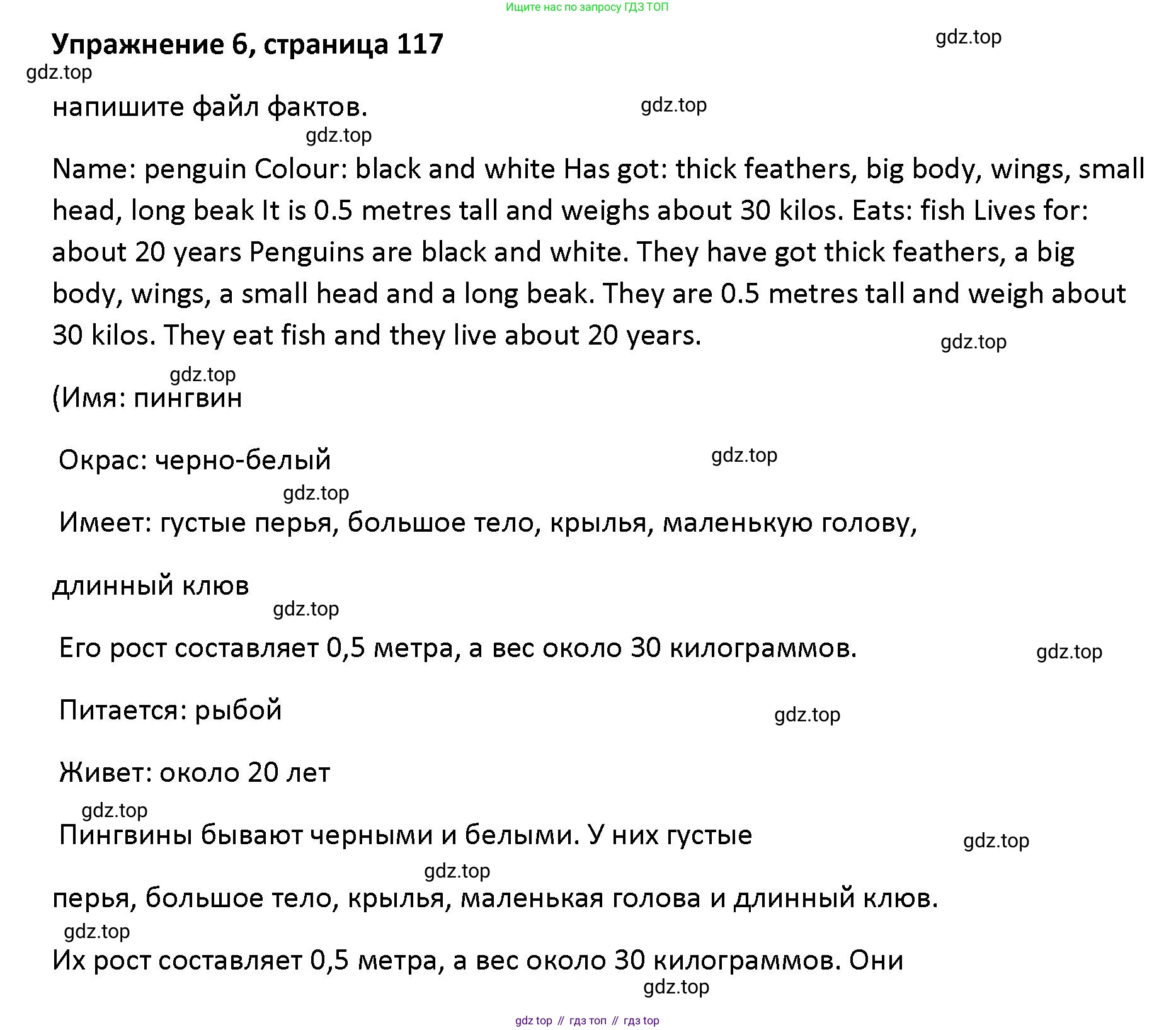 Английский язык (english), 5 класс Учебник (Student's book), авторы: Маневич Екатерина Гарьевна (Manevich Yekaterina), Полякова Анна Александровна (Polyakova Anna), Дули Дженни (Dooley Jenny), Эванс Вирджиния (Evans Virginia), издательство Просвещение, Москва, 2023, голубого цвета, страница 117, номер 6, Решение