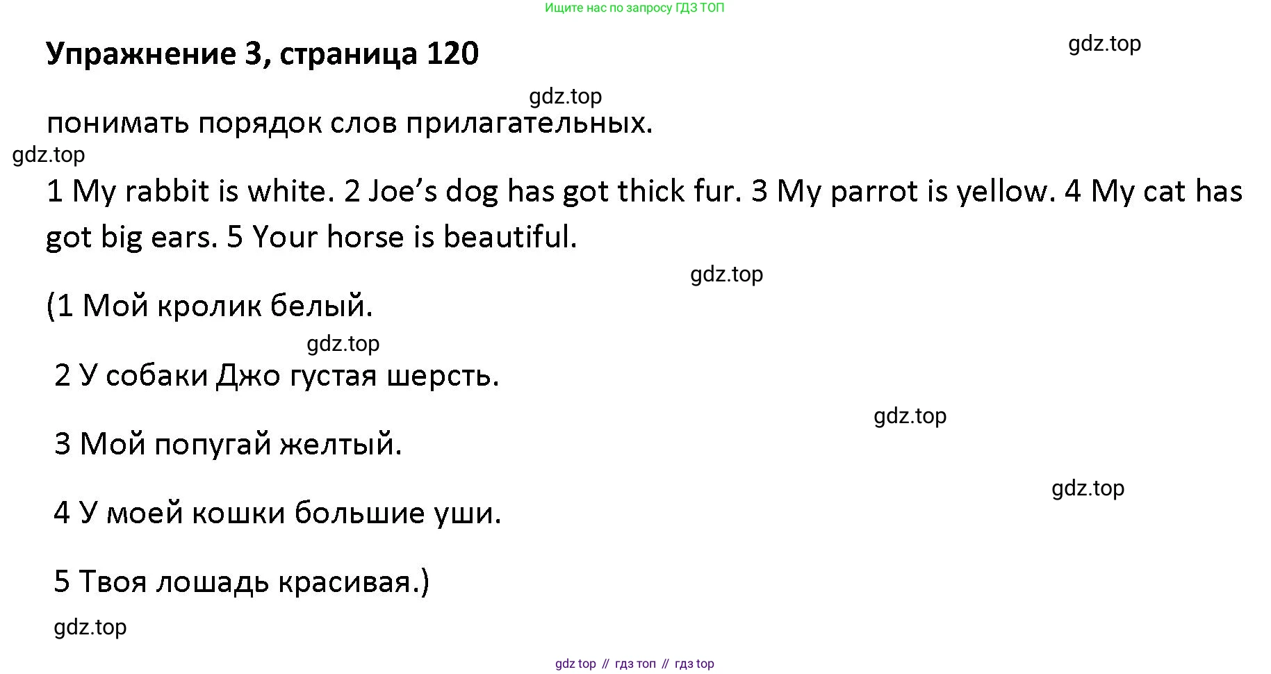 Английский язык (english), 5 класс Учебник (Student's book), авторы: Маневич Екатерина Гарьевна (Manevich Yekaterina), Полякова Анна Александровна (Polyakova Anna), Дули Дженни (Dooley Jenny), Эванс Вирджиния (Evans Virginia), издательство Просвещение, Москва, 2023, голубого цвета, страница 120, номер 3, Решение
