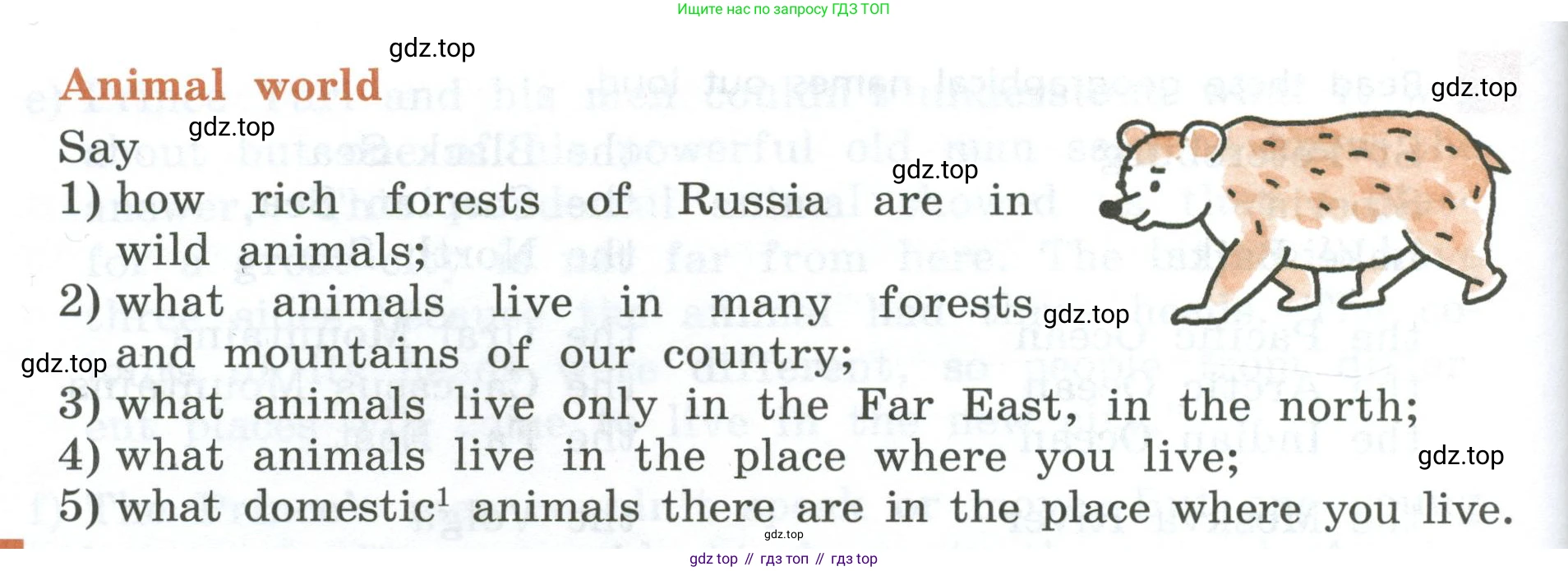Английский язык (english), 5 класс рабочая тетрадь, авторы: Афанасьева Ольга Васильевна (Afanasyeva Olga), Михеева Ирина Владимировна (Mikheeva Irina), Баранова Ксения Михайловна (Baranova Ksenia), издательство Просвещение, Москва, 2023, страница 113, номер 8, Условие (продолжение 2)
