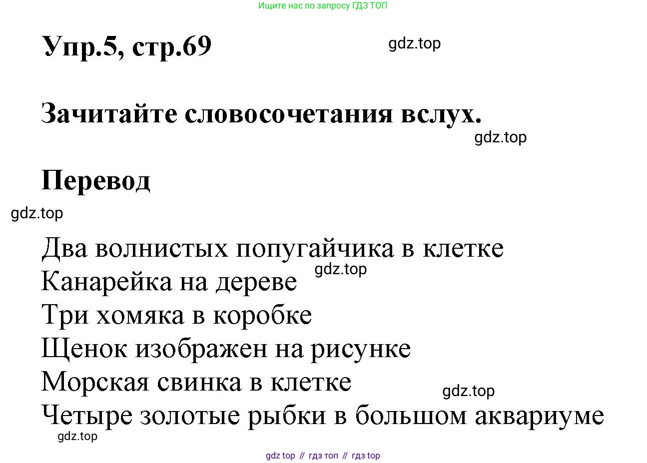 Английский язык (english), 5 класс рабочая тетрадь, авторы: Афанасьева Ольга Васильевна (Afanasyeva Olga), Михеева Ирина Владимировна (Mikheeva Irina), Баранова Ксения Михайловна (Baranova Ksenia), издательство Просвещение, Москва, 2023, страница 69, номер 5, Решение