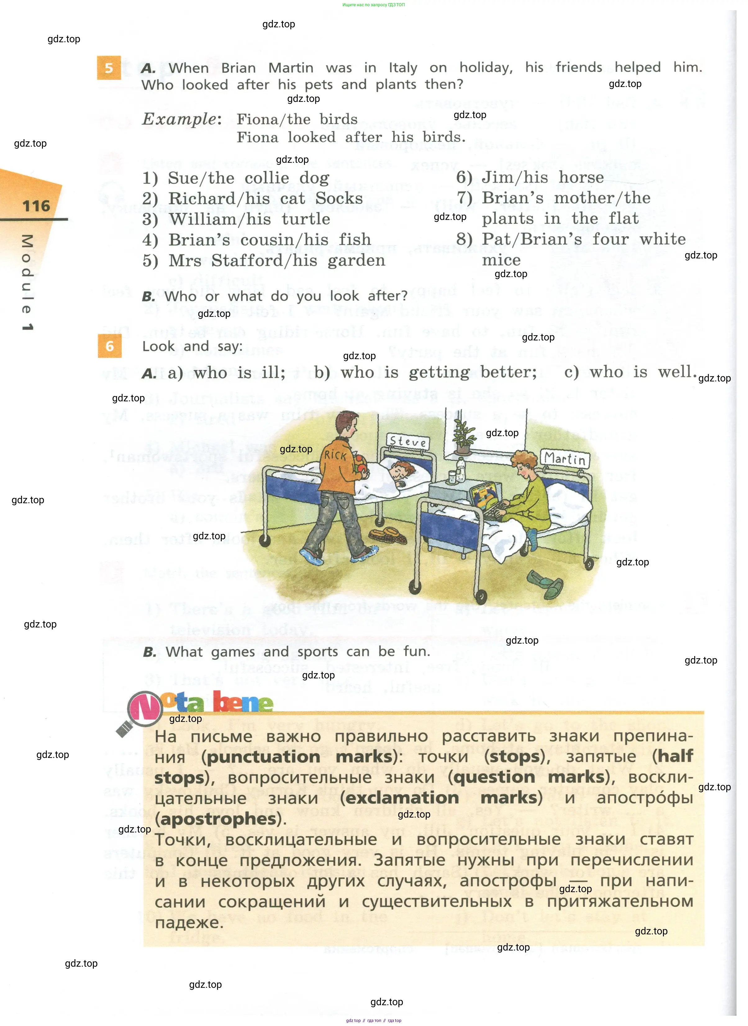 Английский язык (english), 5 класс Учебник, авторы: Афанасьева Ольга Васильевна (Afanasyeva Olga), Михеева Ирина Владимировна (Mikheeva Irina), Баранова Ксения Михайловна (Baranova Ksenia), издательство Просвещение, Москва, 2023, Часть 1, страница 116